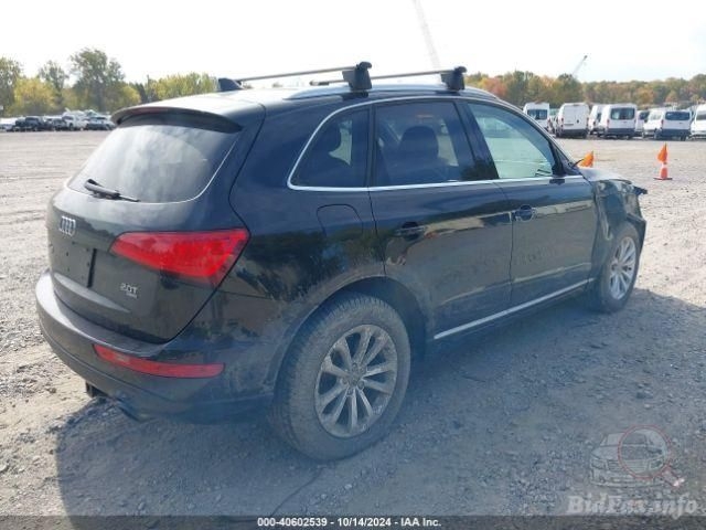 Фото на других сайтах