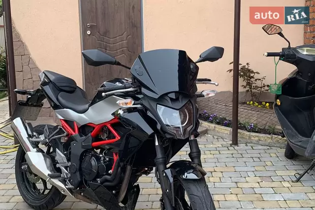 Kawasaki Z 250SL 2018