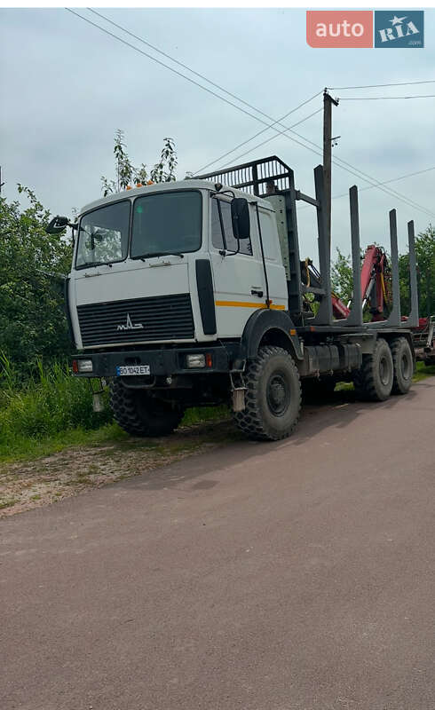 Лесовоз / Сортиментовоз МАЗ 6317Х9 2015 в Овруче Лесовоз / Сортиментовоз МАЗ 6317Х9 2015 в Овруче