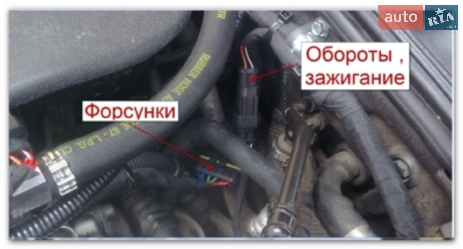 Audi A8 2005 VIN WAUZZZ4EX6N002080 фото оголошення 44 з 67