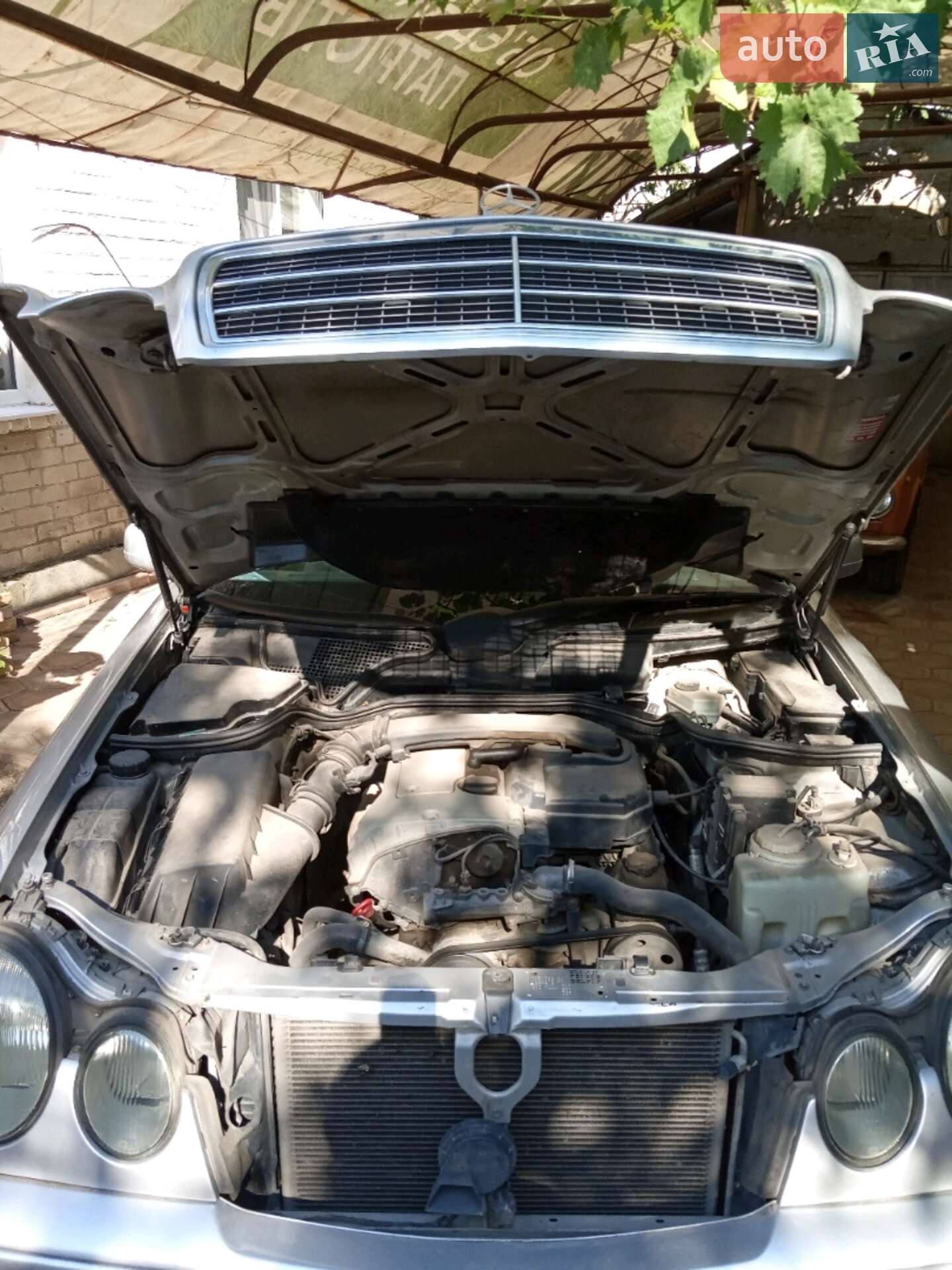 Mercedes-Benz E-Class 1998 VIN WDB2100351A346607 фото оголошення 19 з 21