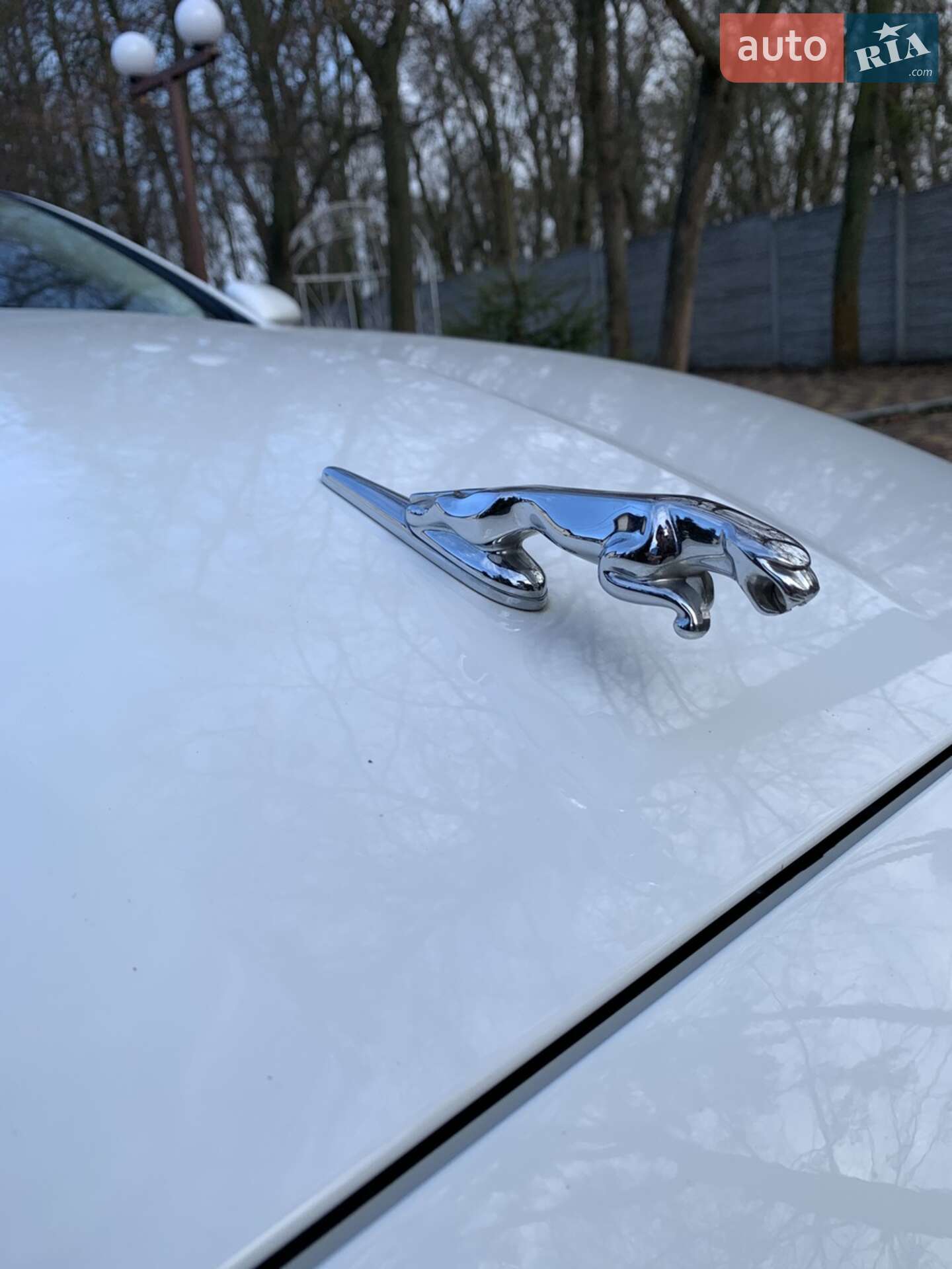 Jaguar XJ 2012 VIN SAJWA1C7XD8V39658 фото оголошення 8 з 9