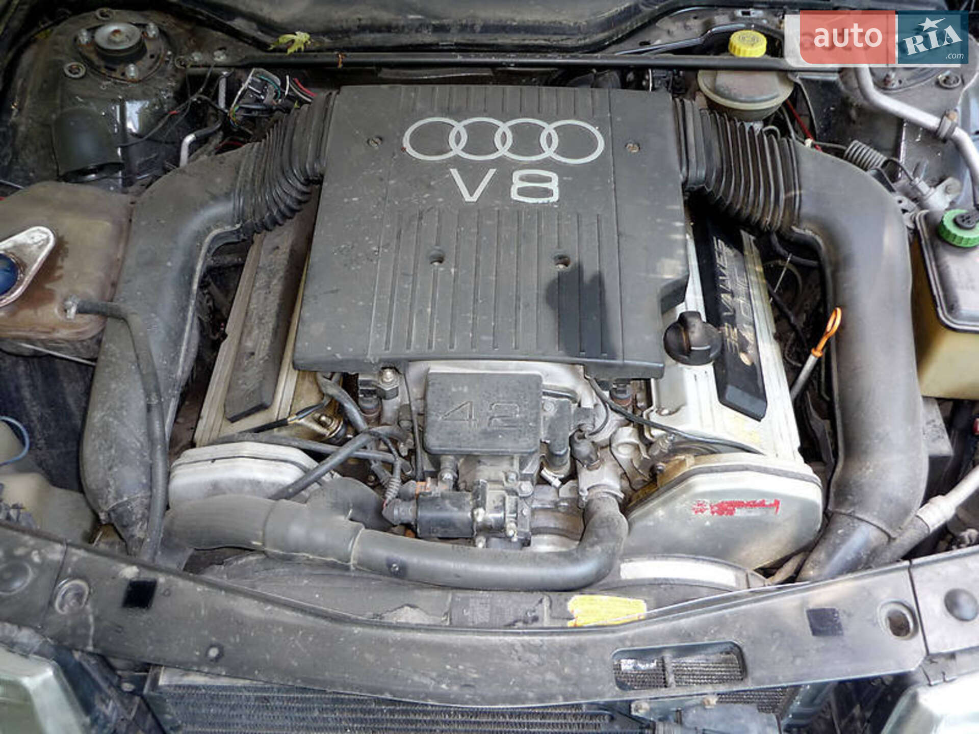 Audi V8 1991 VIN WAUZZZ4CZMN002149 фото оголошення 10 з 11
