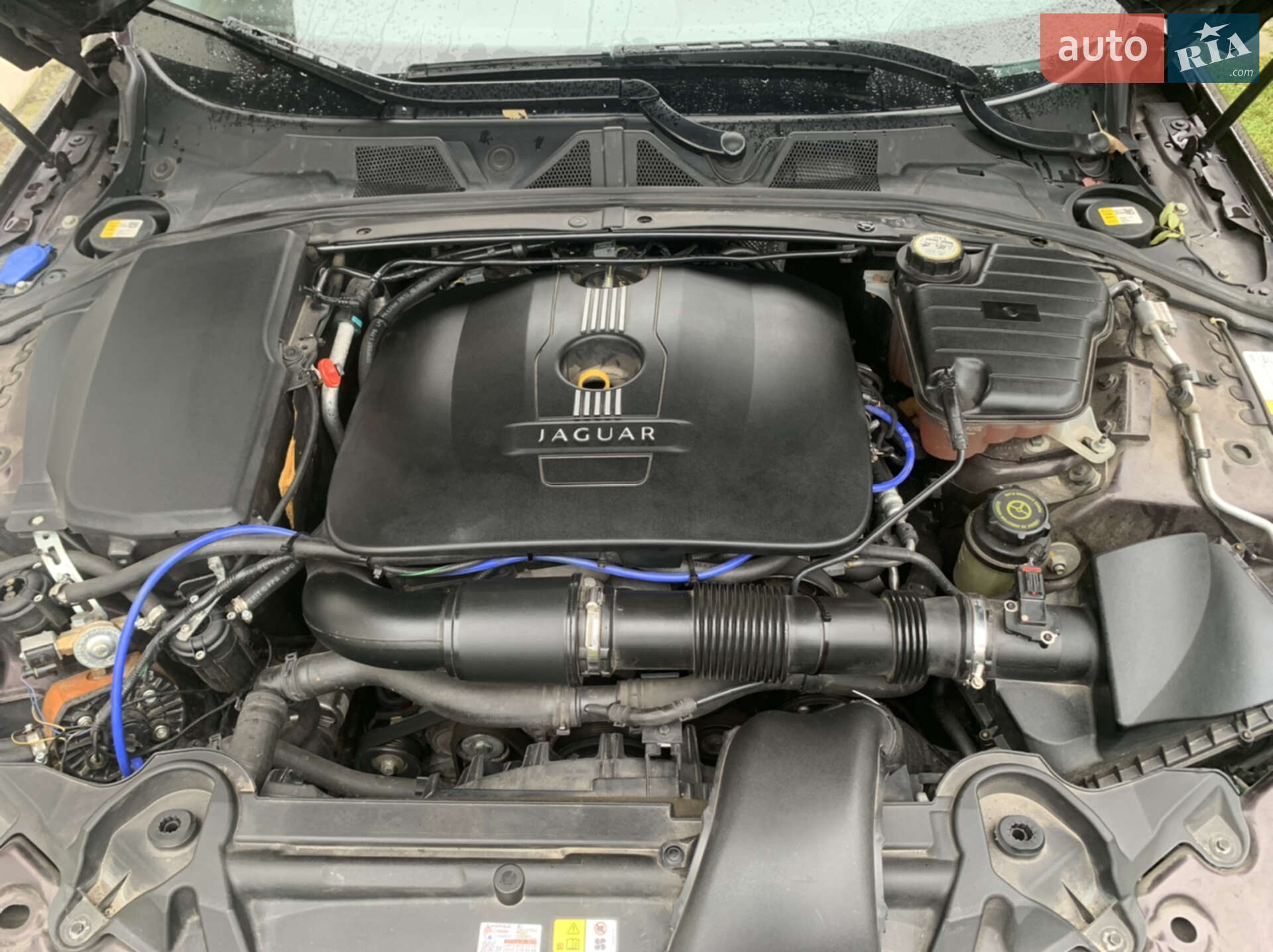 Jaguar XF 2013 VIN SAJAA05M9DPS93702 фото оголошення 39 з 40