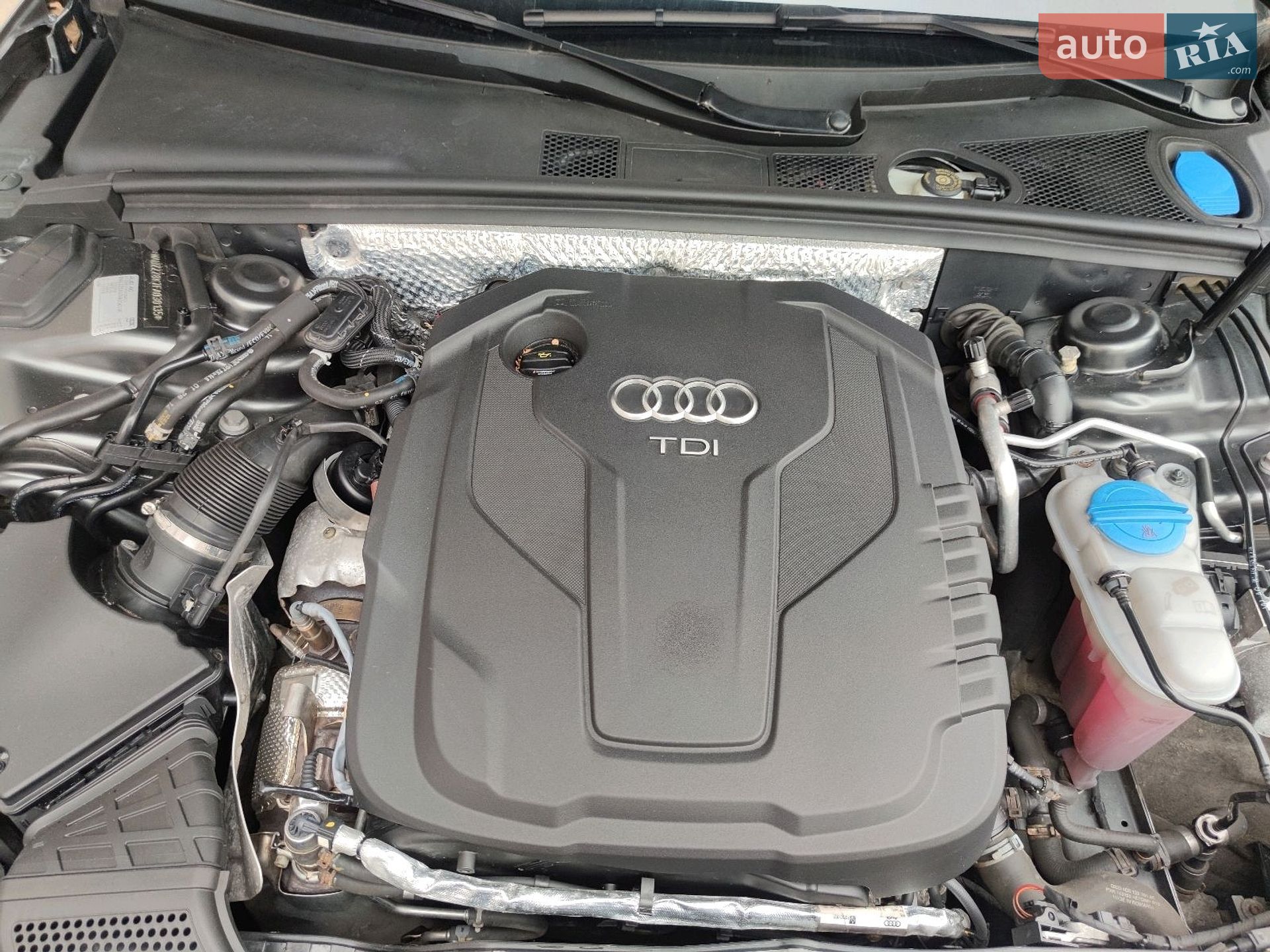 Audi A4 2014 VIN WAUZZZ8K7FA030135 фото оголошення 25 з 27