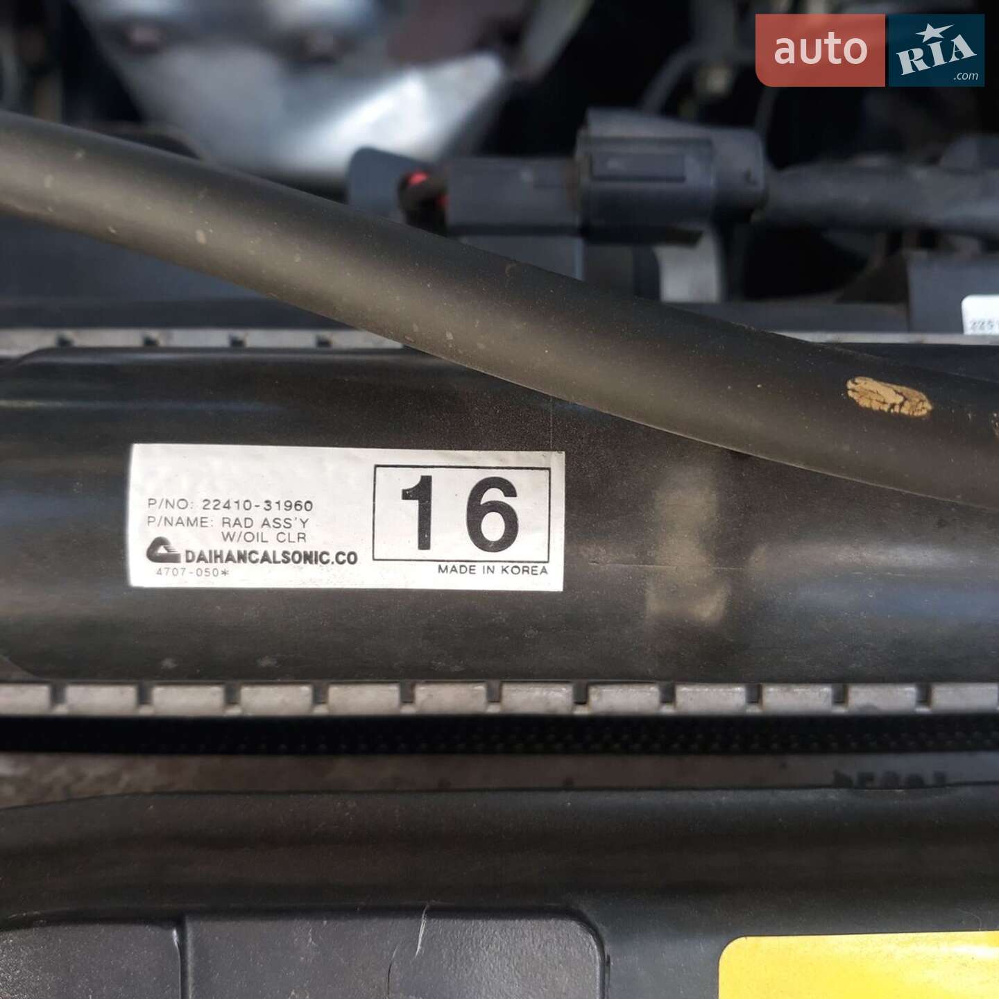 Nissan Almera 2008 VIN KNMCSHLAS8P715169 фото оголошення 21 з 24