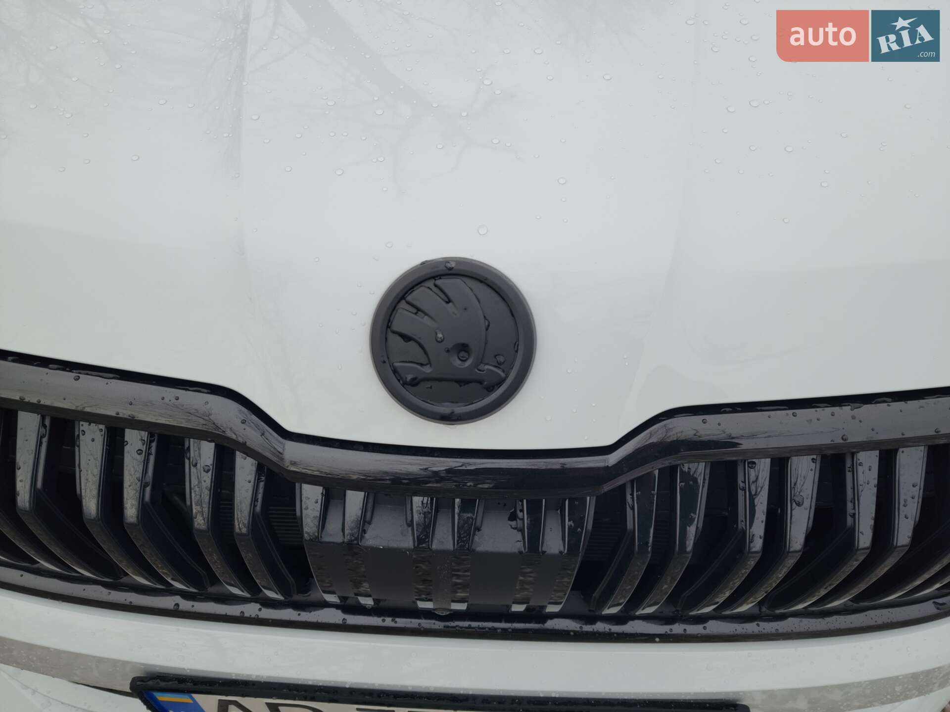 Skoda Kodiaq 2021 VIN TMBLJ7NS5NB400323 фото оголошення 10 з 66