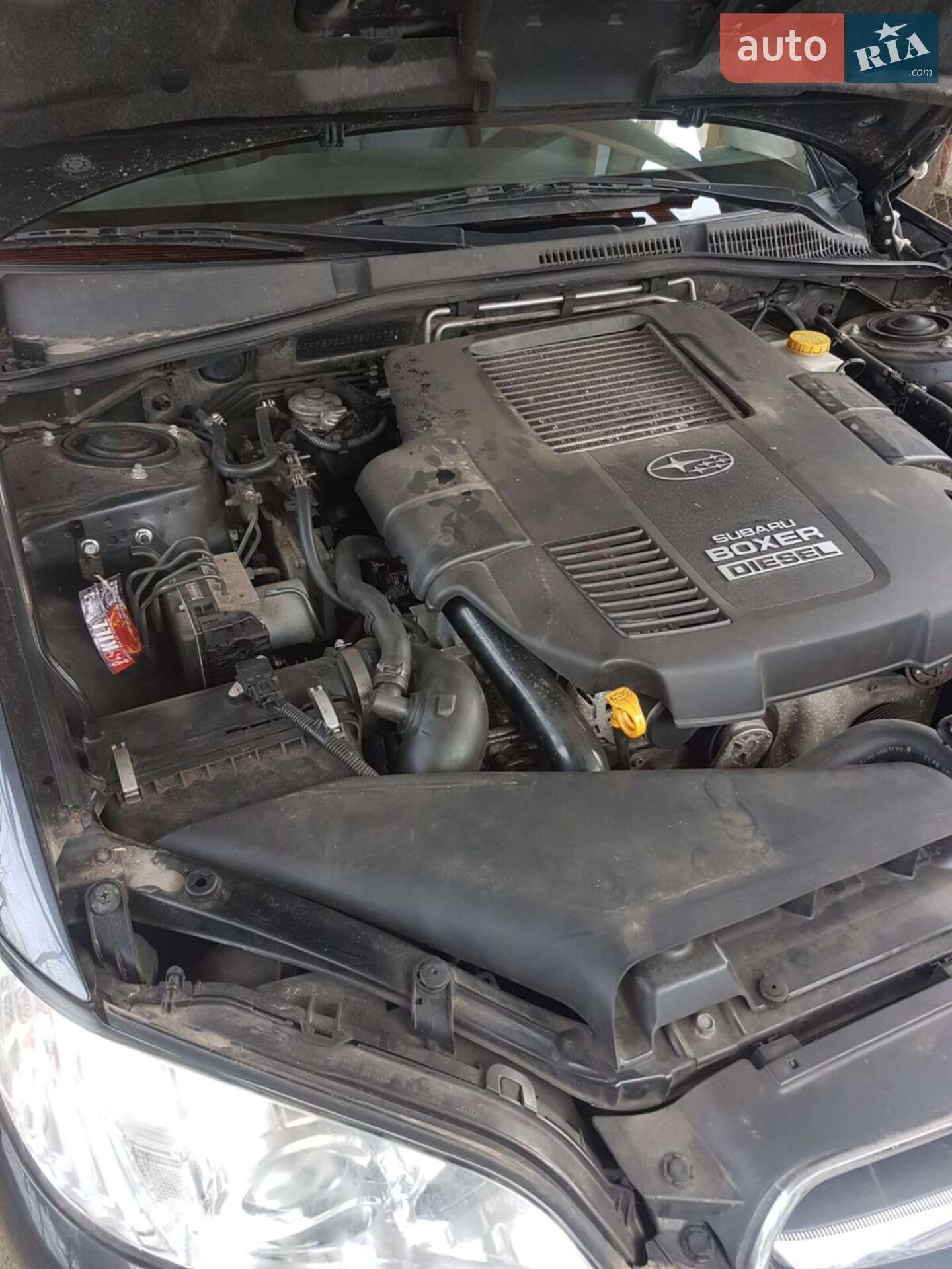 Subaru Legacy 2008 VIN JF1BPDLY38G107897 фото оголошення 7 з 21