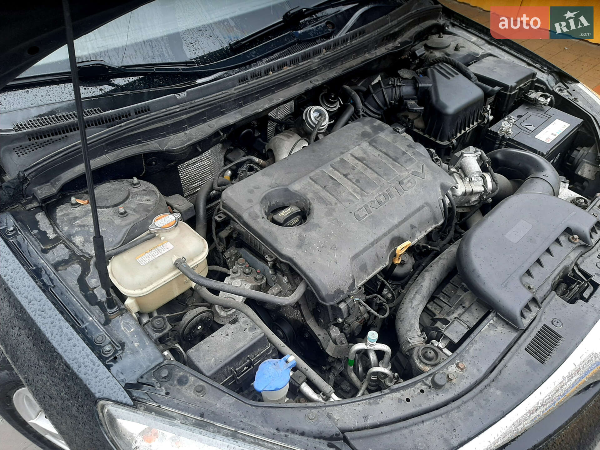Hyundai i30 2010 VIN TMADB81SABJ033509 фото оголошення 2 з 18