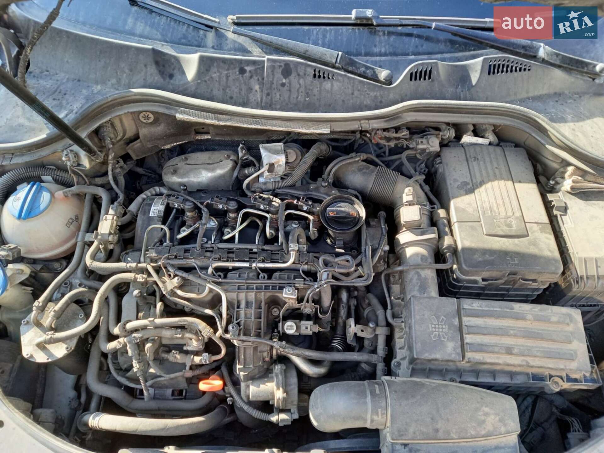 Volkswagen Passat 2012 VIN WVWZZZ3CZDE081776 фото оголошення 23 з 24