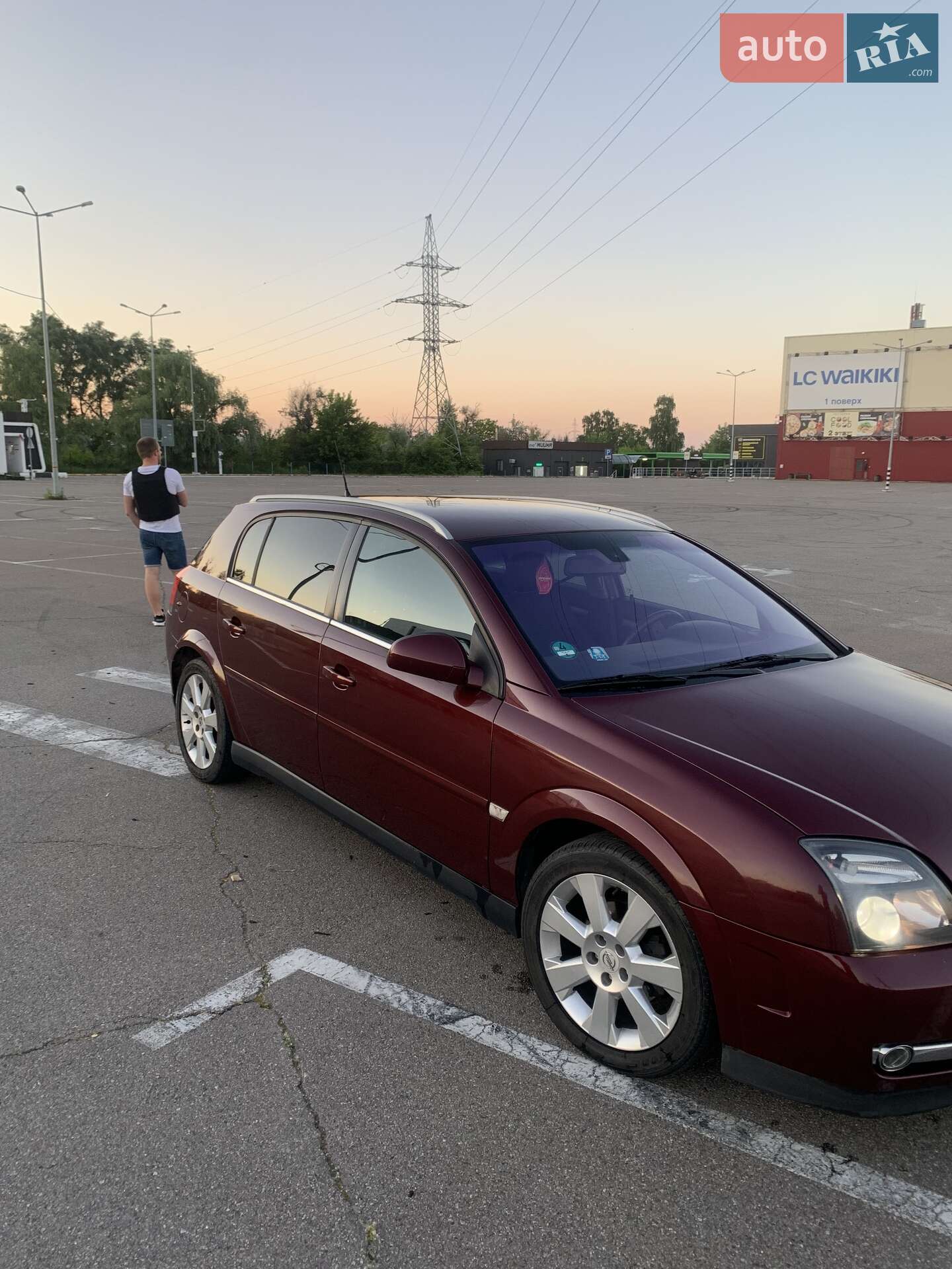 Opel Signum 2005 VIN W0L0ZCF4851094849 фото оголошення 10 з 16