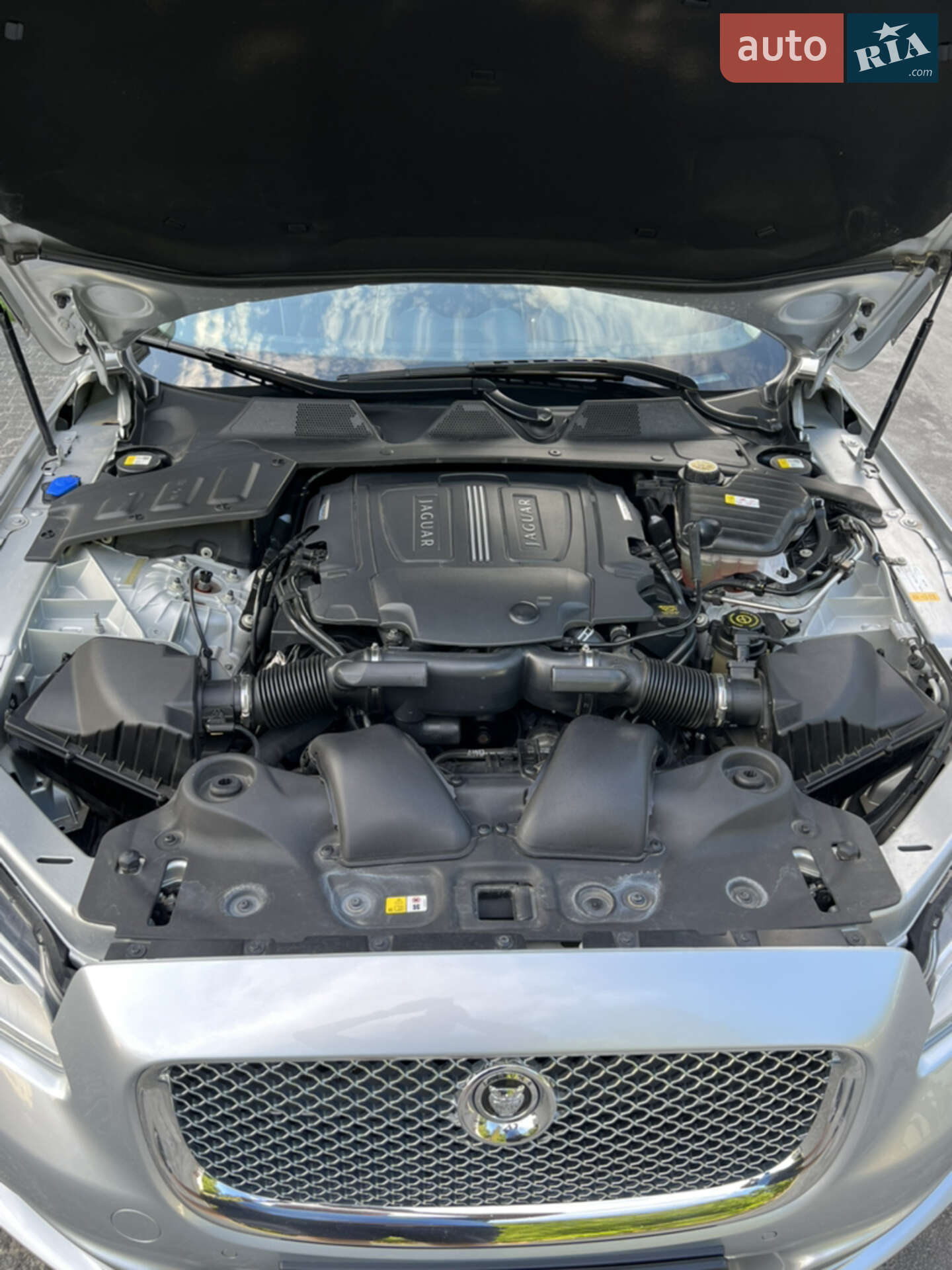 Jaguar XJ 2013 VIN SAJAJ16H5D8V50601 фото оголошення 33 з 34