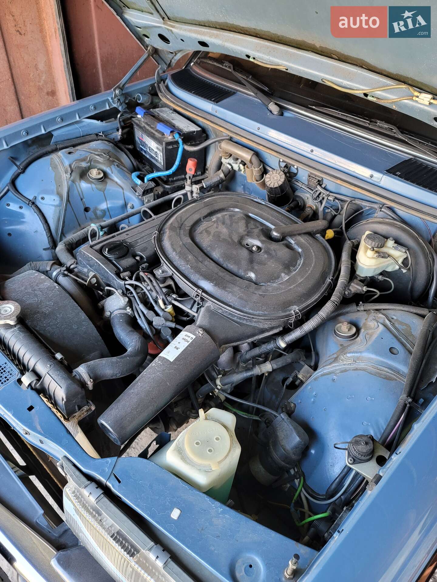 Mercedes-Benz E-Class 1984 VIN WDB1242231A101027 фото оголошення 51 з 81