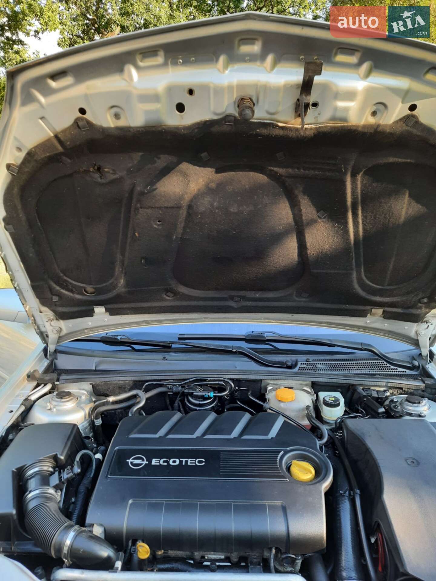 Opel Vectra 2007 VIN W0L0ZCF3571037686 фото оголошення 36 з 39