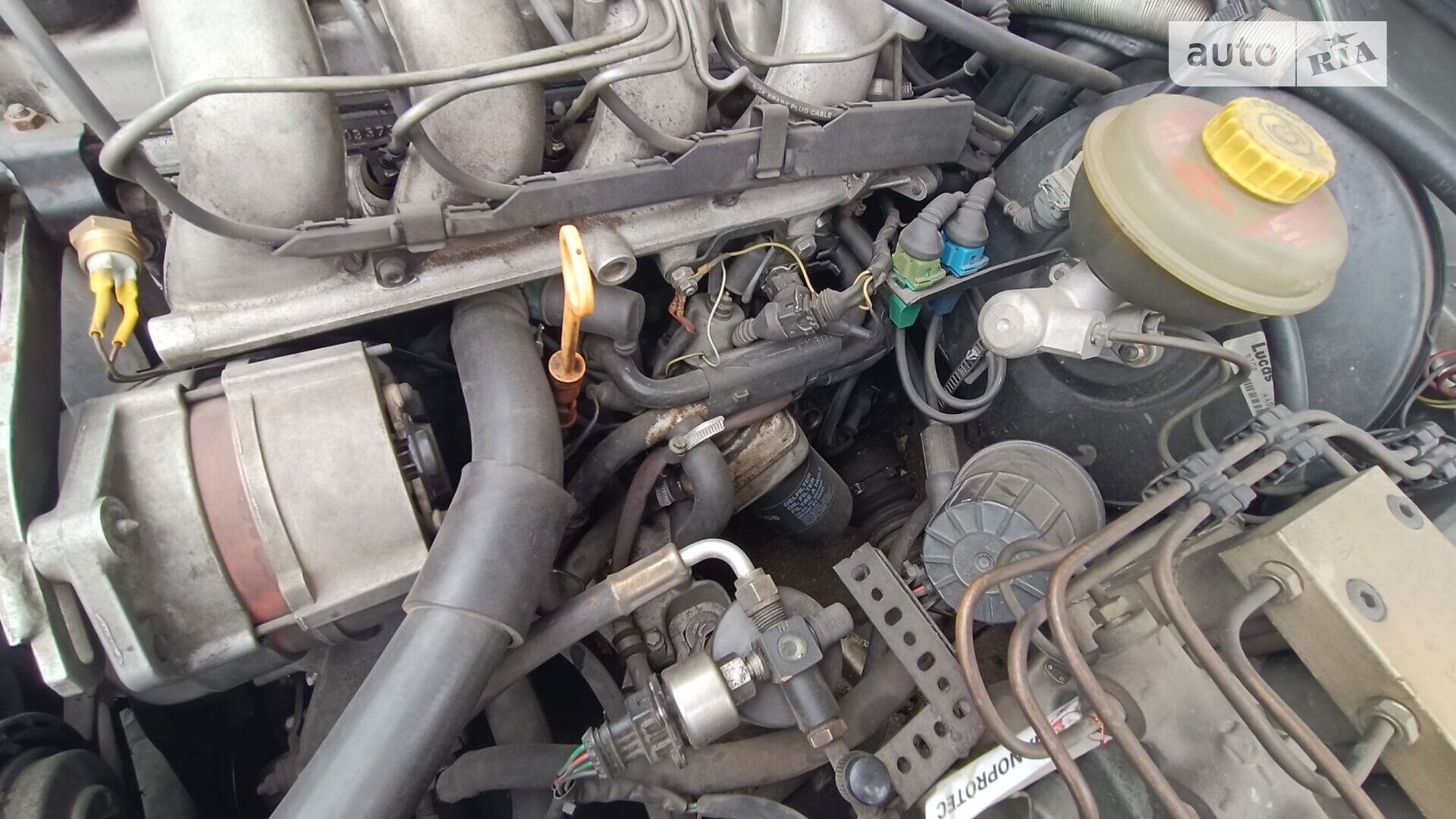 Audi 80 1994 VIN WAUZZZ8CZRA151438 фото оголошення 21 з 22