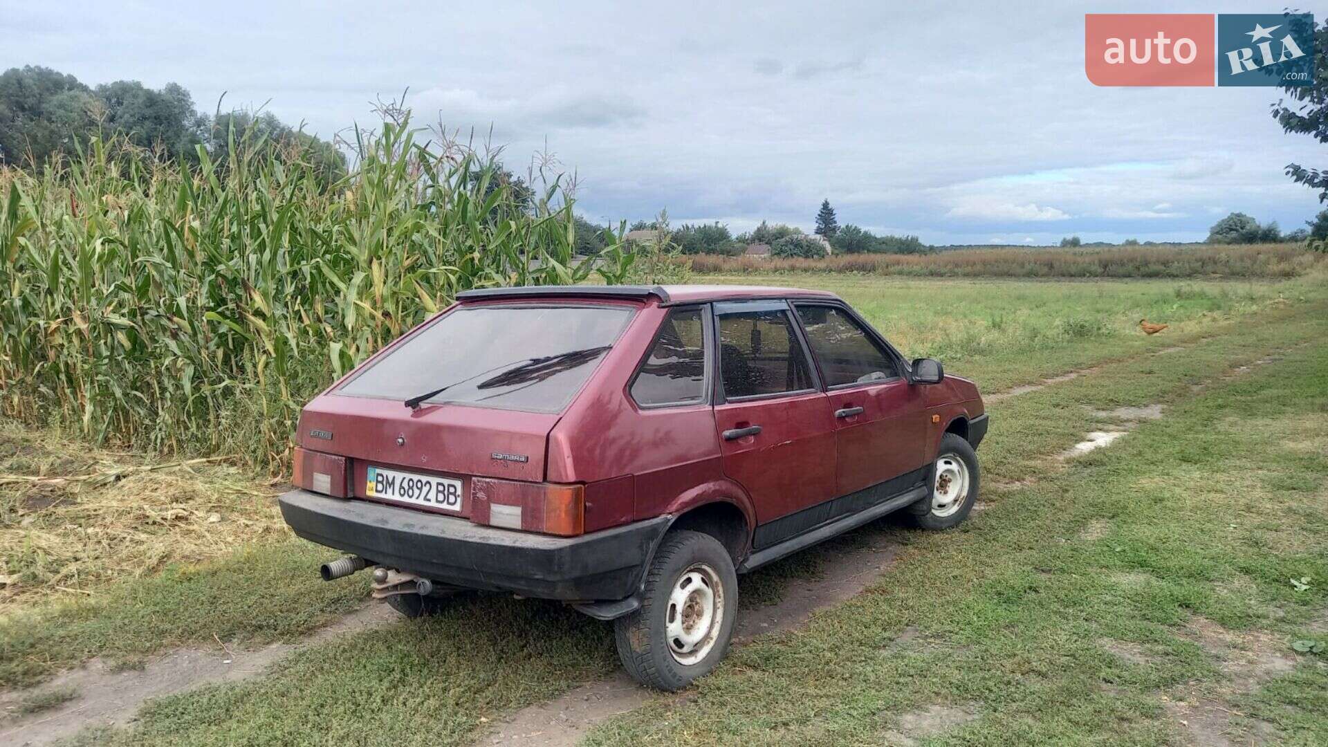ВАЗ / Lada 2109 1991 VIN XTA210930M1181770 фото оголошення 3 з 5