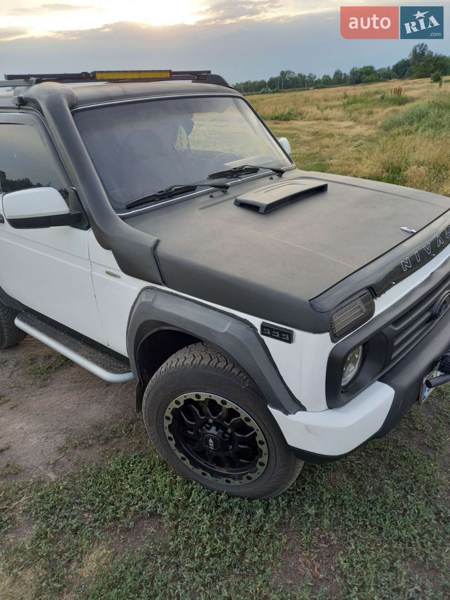 ВАЗ / Lada 21213 Niva 1995 VIN XTA212130S1093980 фото оголошення 20 з 35
