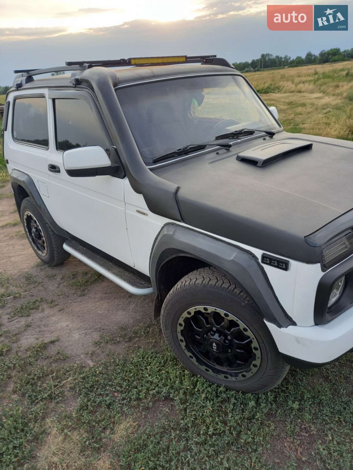 ВАЗ / Lada 21213 Niva 1995 VIN XTA212130S1093980 фото оголошення 24 з 35