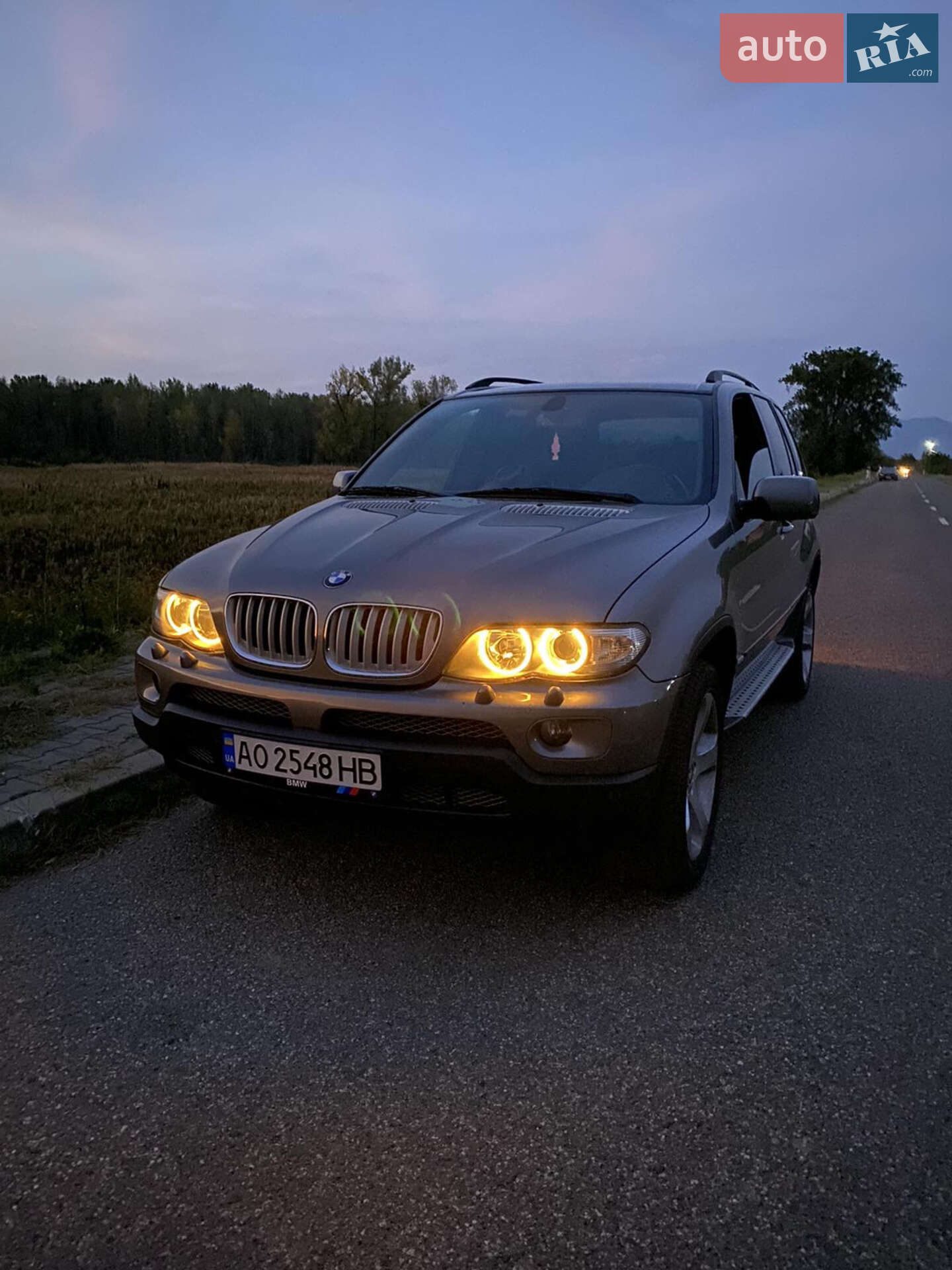 BMW X5 2005 VIN WBAFB71040LX35054 фото оголошення 44 з 75