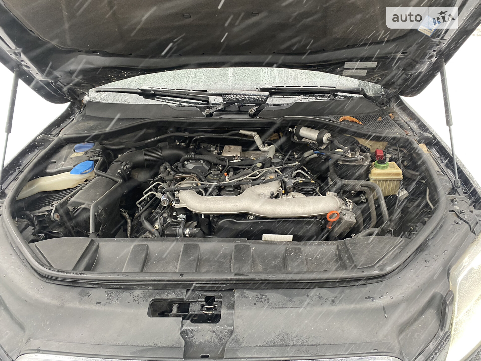 Audi Q7 2008 VIN WAUZZZ4L98D058146 фото оголошення 62 з 80