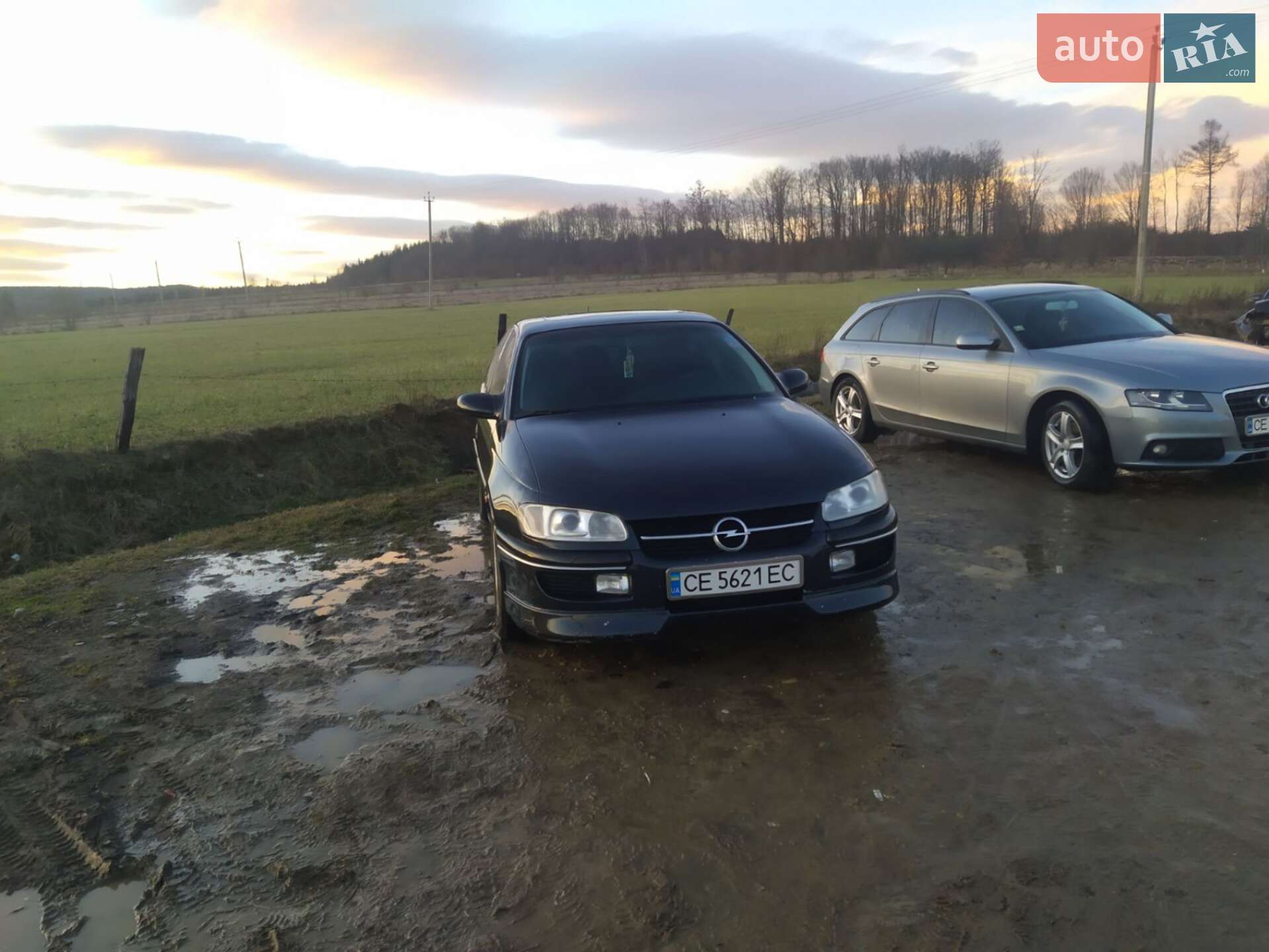 Opel Omega 1998 VIN W0L0VBM69W1178752 фото оголошення 35 з 38