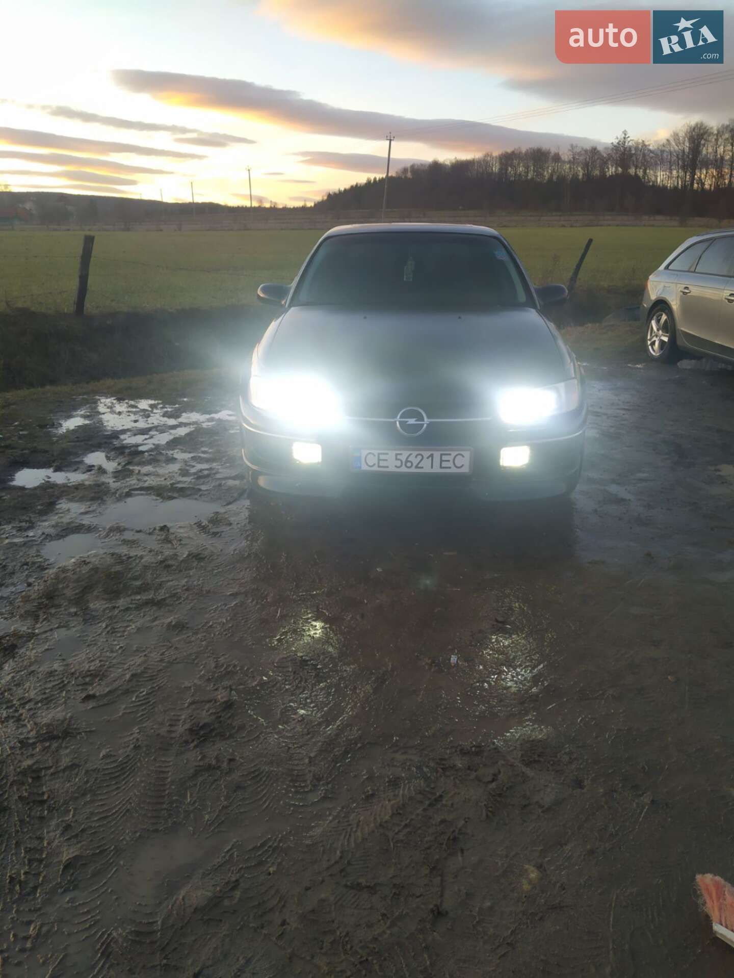 Opel Omega 1998 VIN W0L0VBM69W1178752 фото оголошення 34 з 38