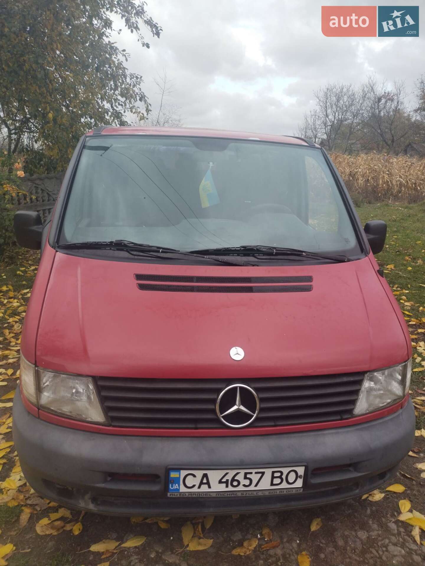 Mercedes-Benz Vito 2001 VIN VSA63809413440780 фото оголошення 18 з 21