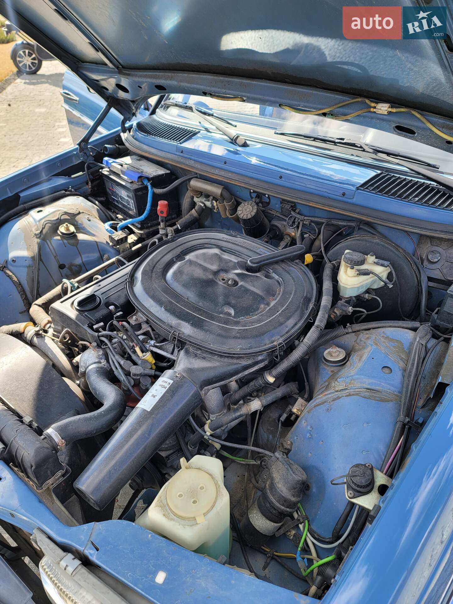 Mercedes-Benz E-Class 1984 VIN WDB1242231A101027 фото оголошення 39 з 43