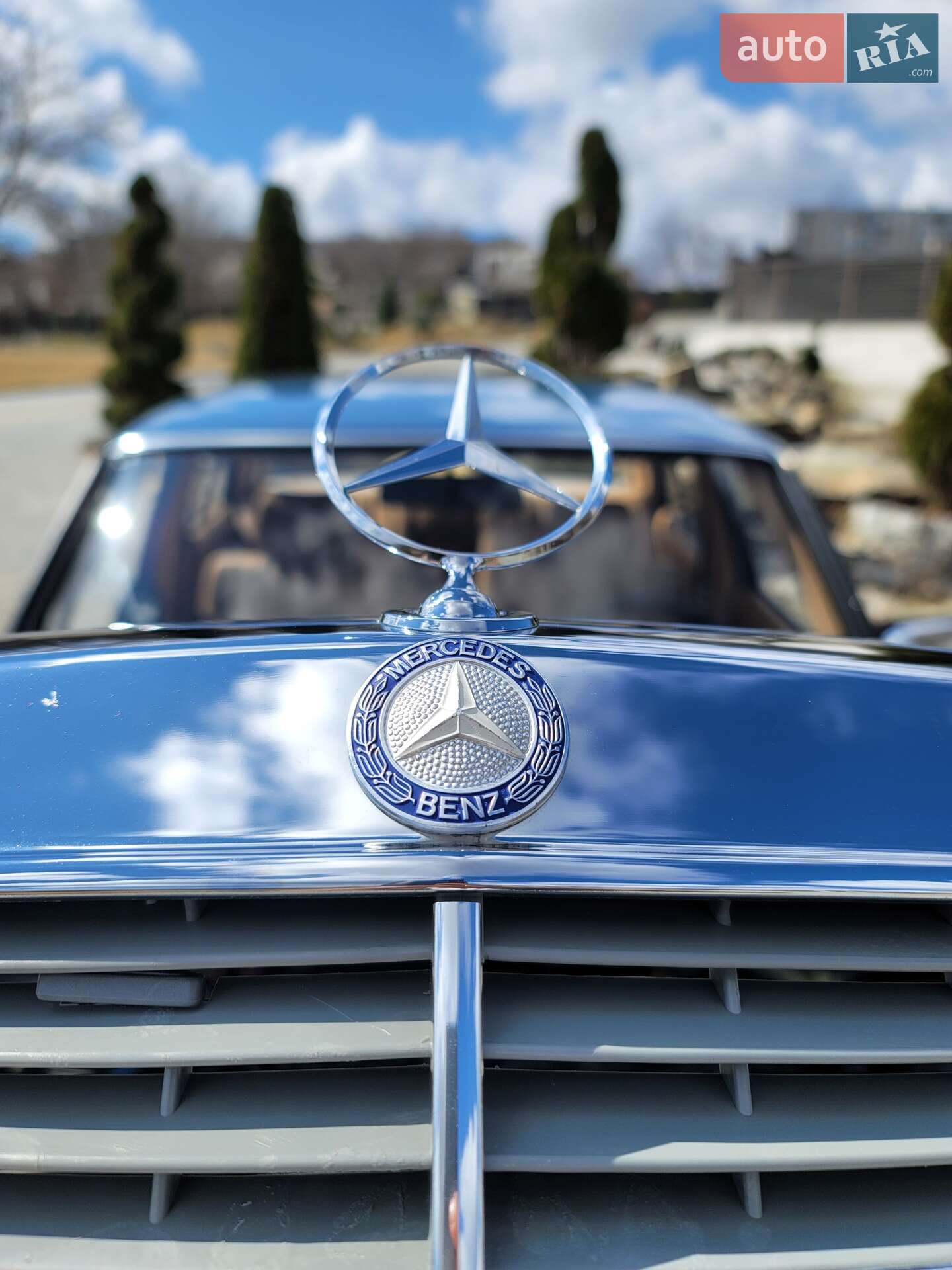 Mercedes-Benz E-Class 1984 VIN WDB1242231A101027 фото оголошення 42 з 43