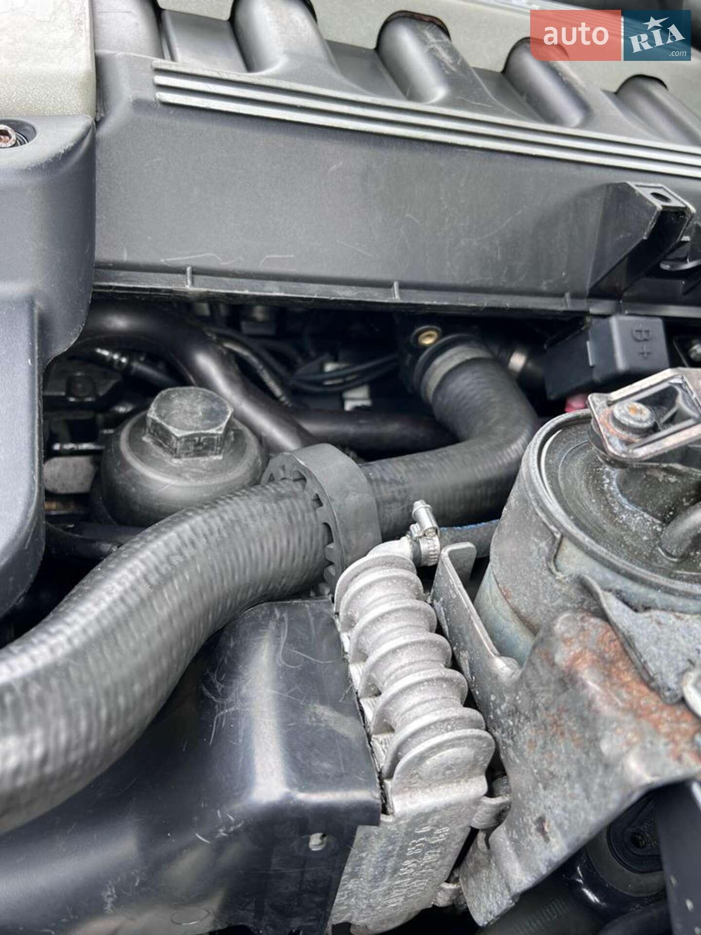 BMW 5 Series 2003 VIN WBADP810X0G047535 фото оголошення 48 з 49