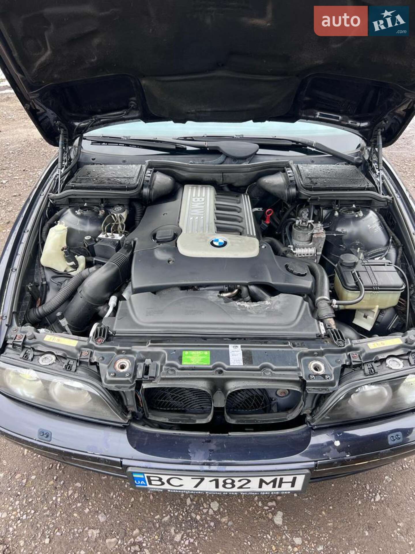 BMW 5 Series 2003 VIN WBADP810X0G047535 фото оголошення 46 з 49