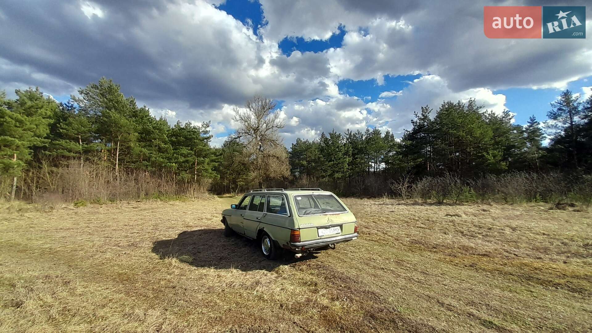 Mercedes-Benz E-Class 1979 VIN WDB00012308610002 фото оголошення 2 з 16