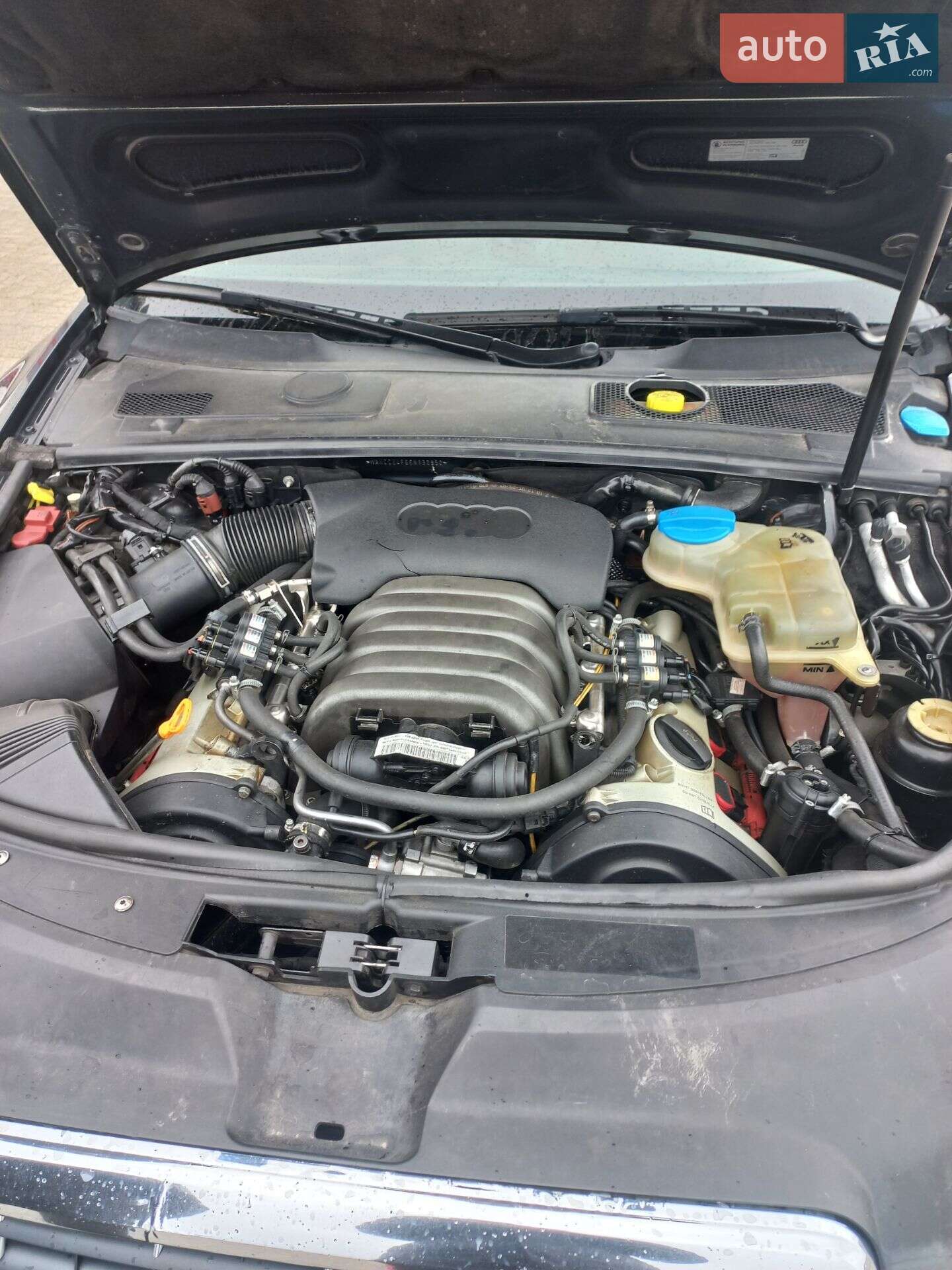 Audi A6 2006 VIN WAUZZZ4F66N132950 фото оголошення 3 з 11