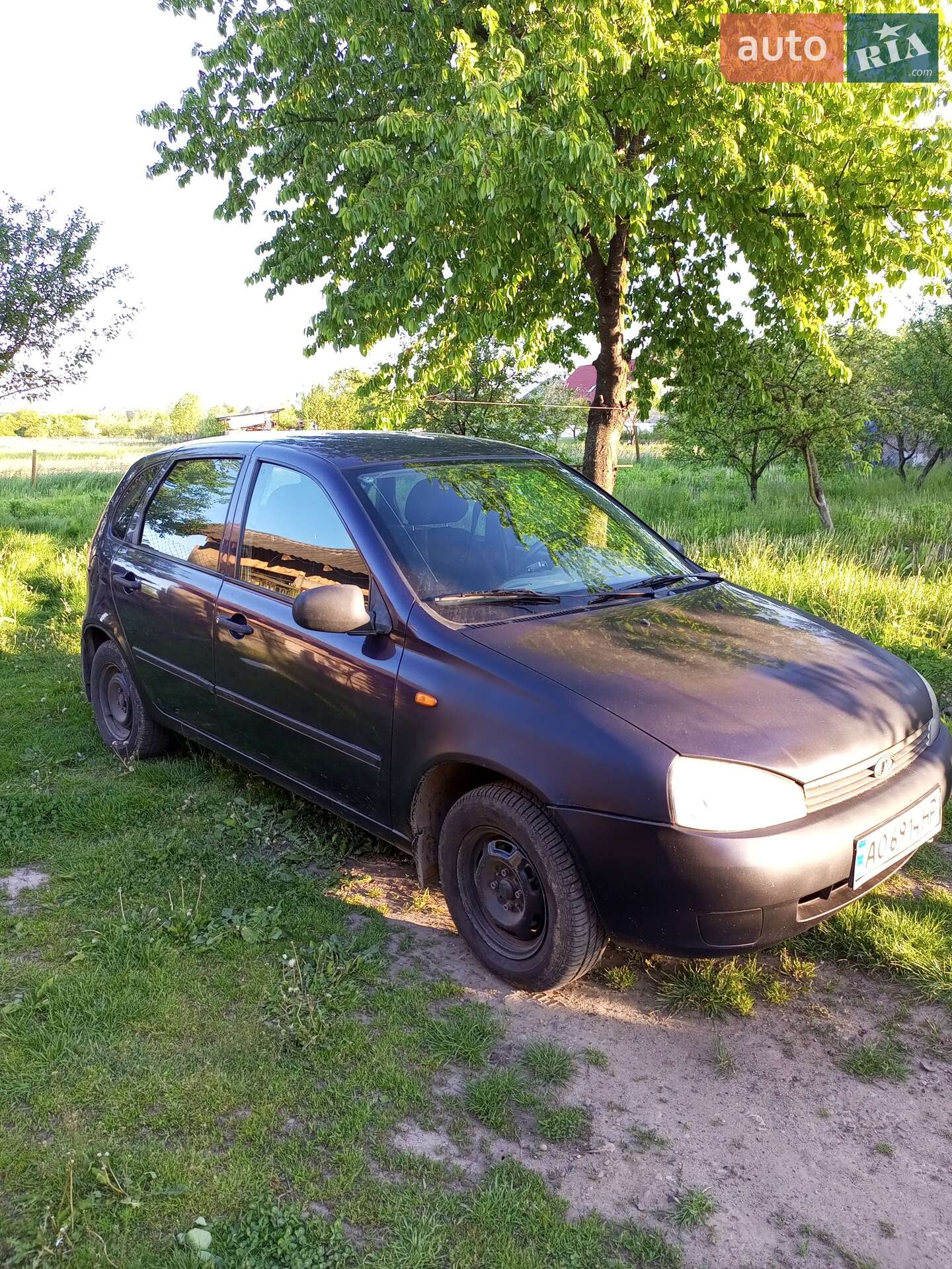 ВАЗ / Lada 1119 Калина 2007 VIN XTA11193070015592 фото оголошення 6 з 6