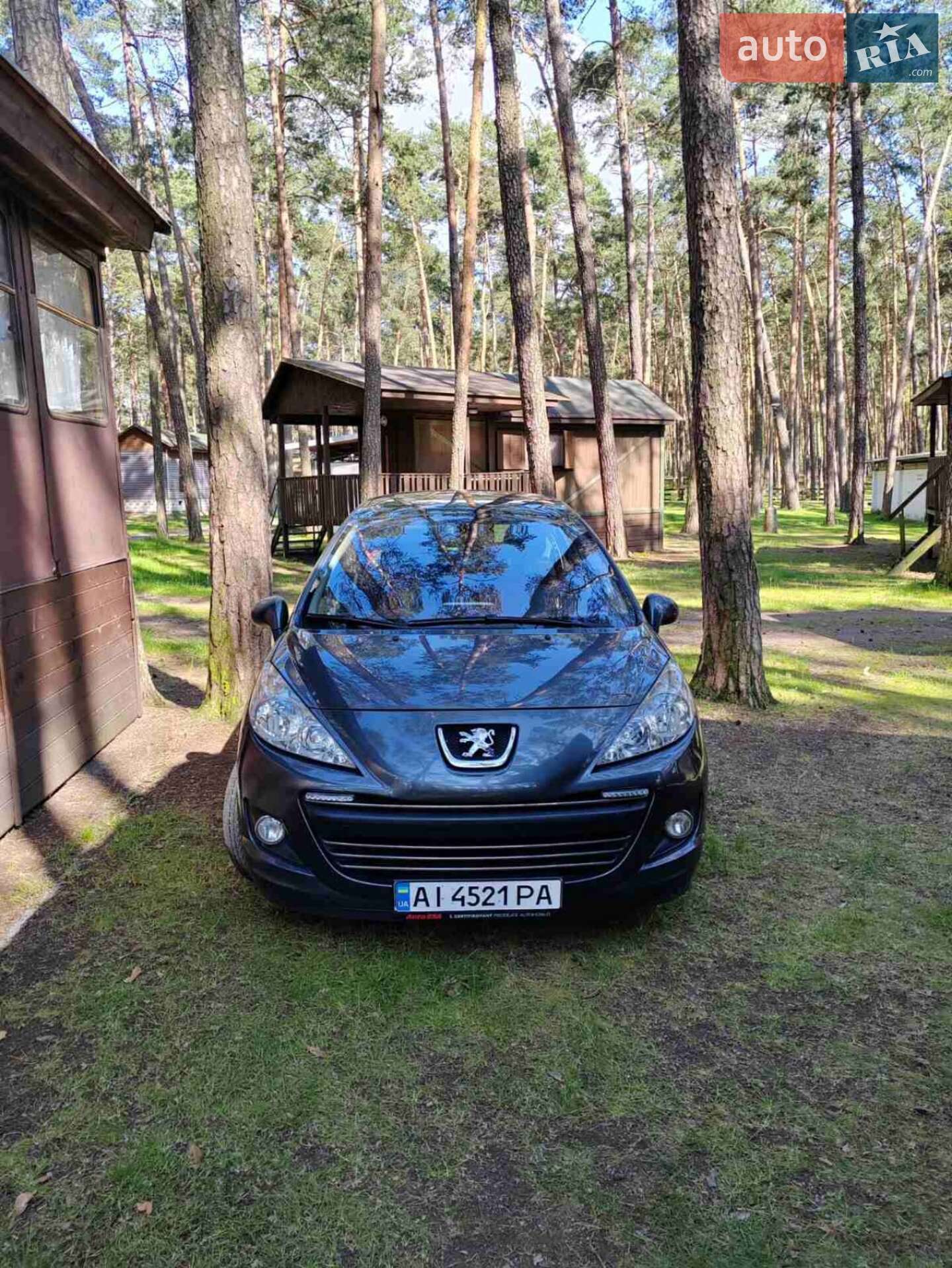 Peugeot 207 2009 VIN VF3WE9HXC9W144512 фото оголошення 3 з 3