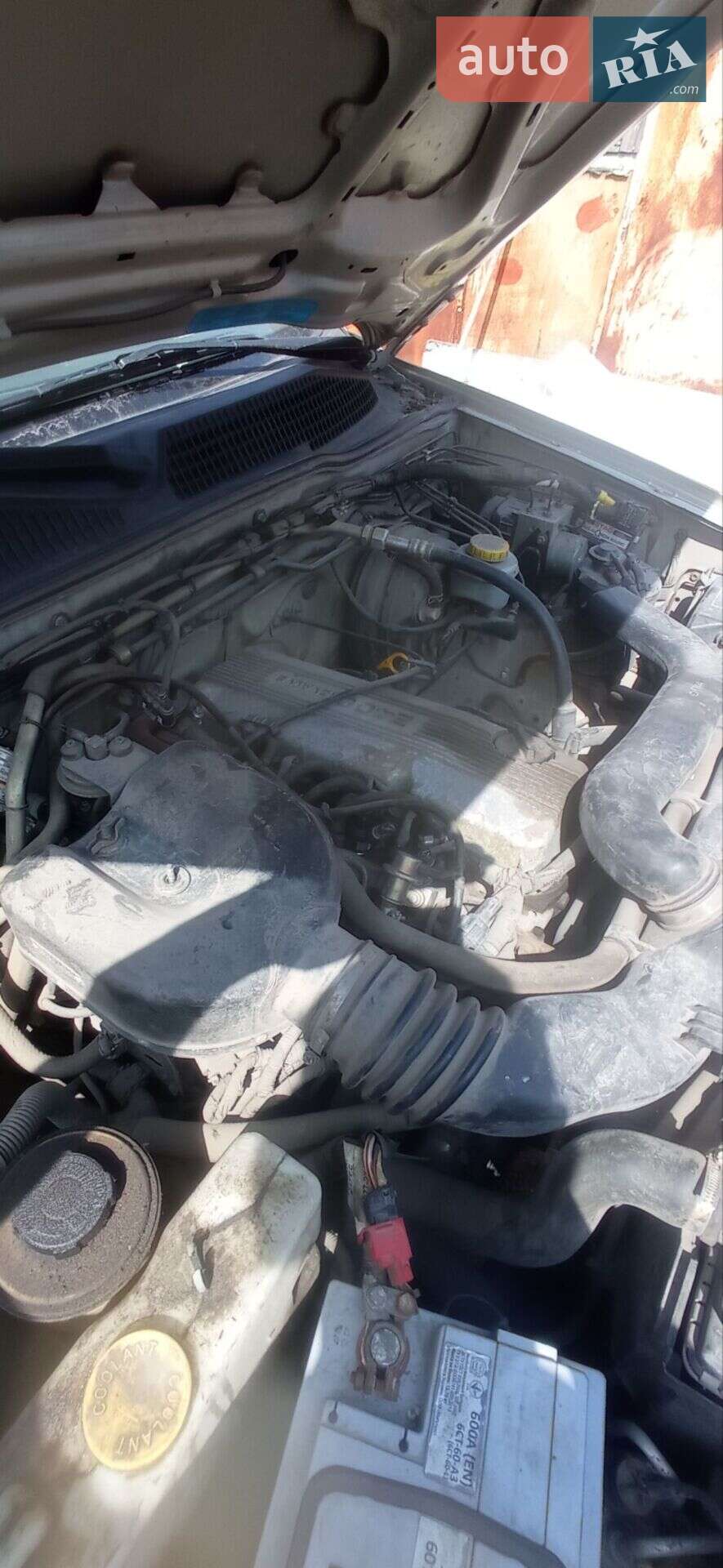 Nissan Terrano 2003 VIN VSKTBUR20U0534770 фото оголошення 7 з 12