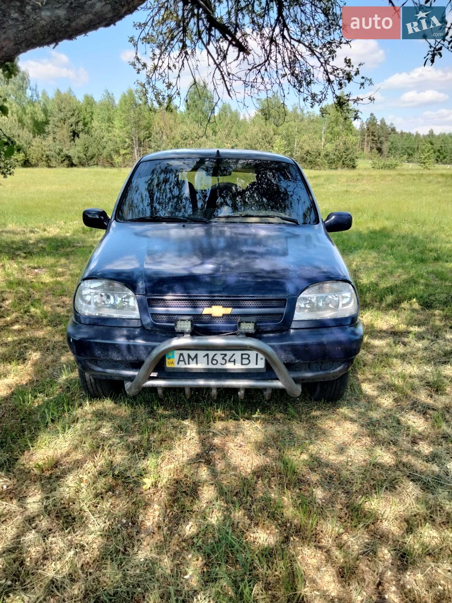 Chevrolet Niva 2006 VIN X9L21230060120234 фото оголошення 4 з 9