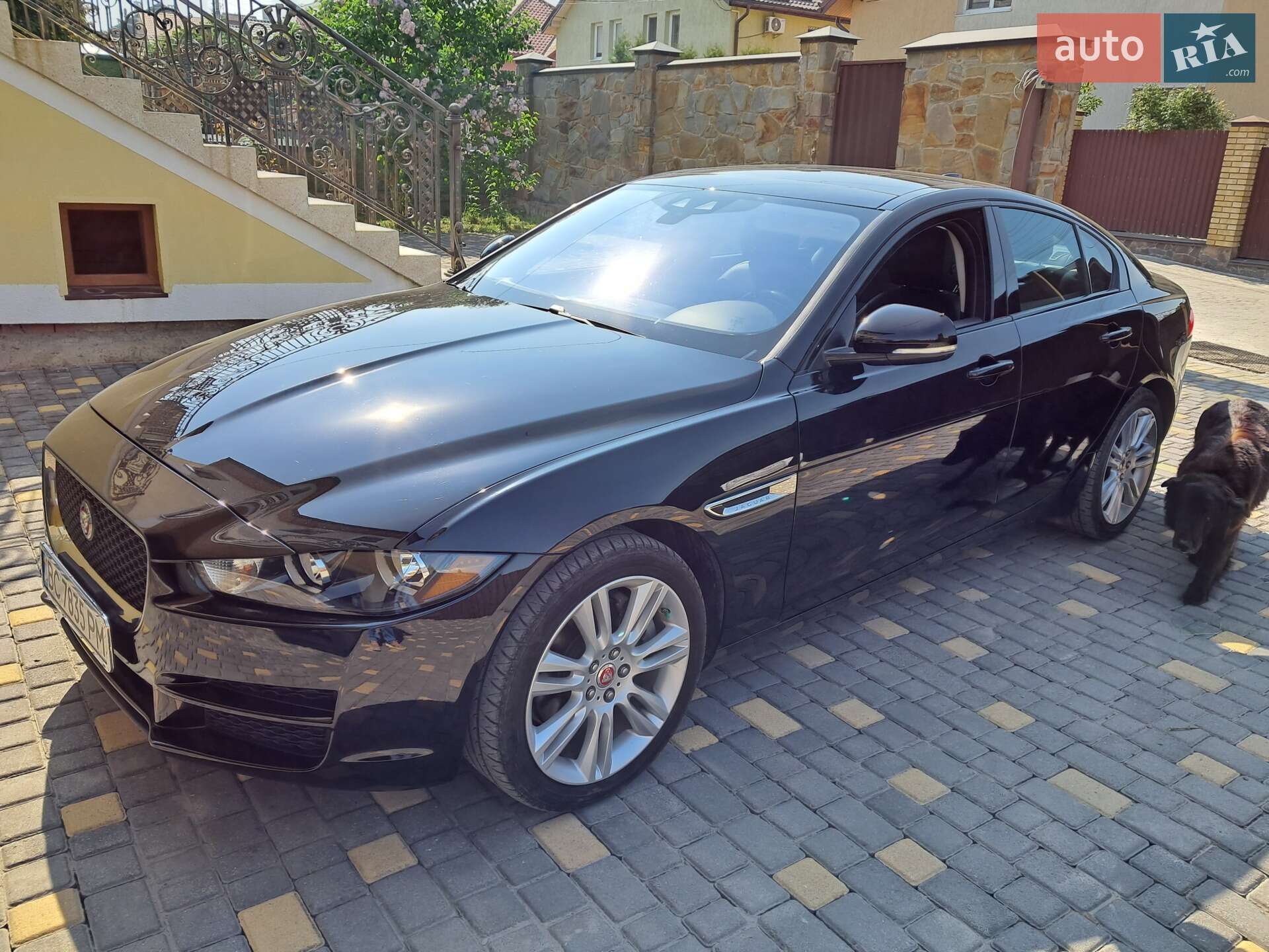 Jaguar XE 2019 VIN SAJAS4FX1KCP52772 фото оголошення 20 з 31