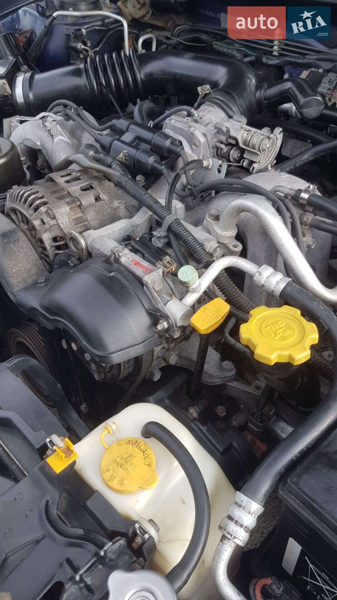 Subaru Legacy 1996 VIN JF1BD4LG9TG021303 фото оголошення 4 з 14