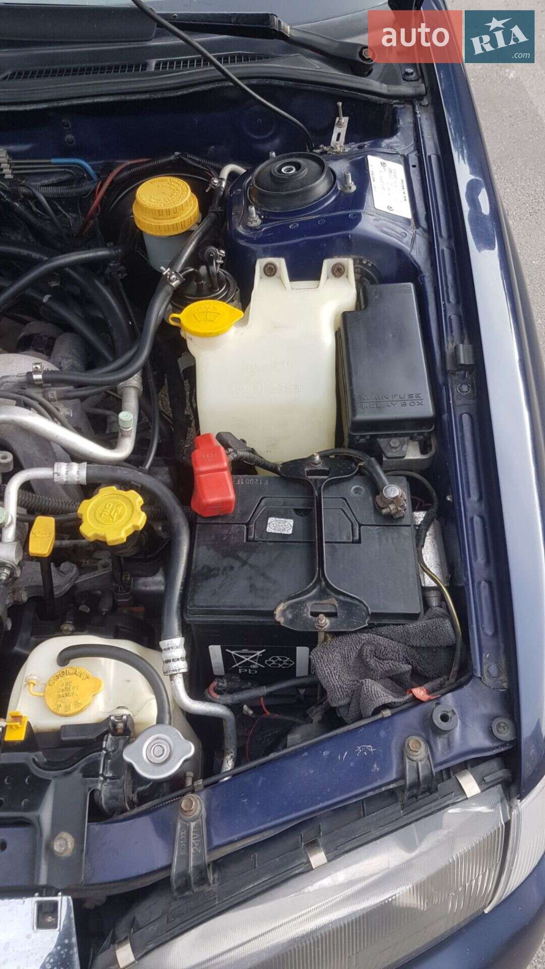 Subaru Legacy 1996 VIN JF1BD4LG9TG021303 фото оголошення 10 з 14
