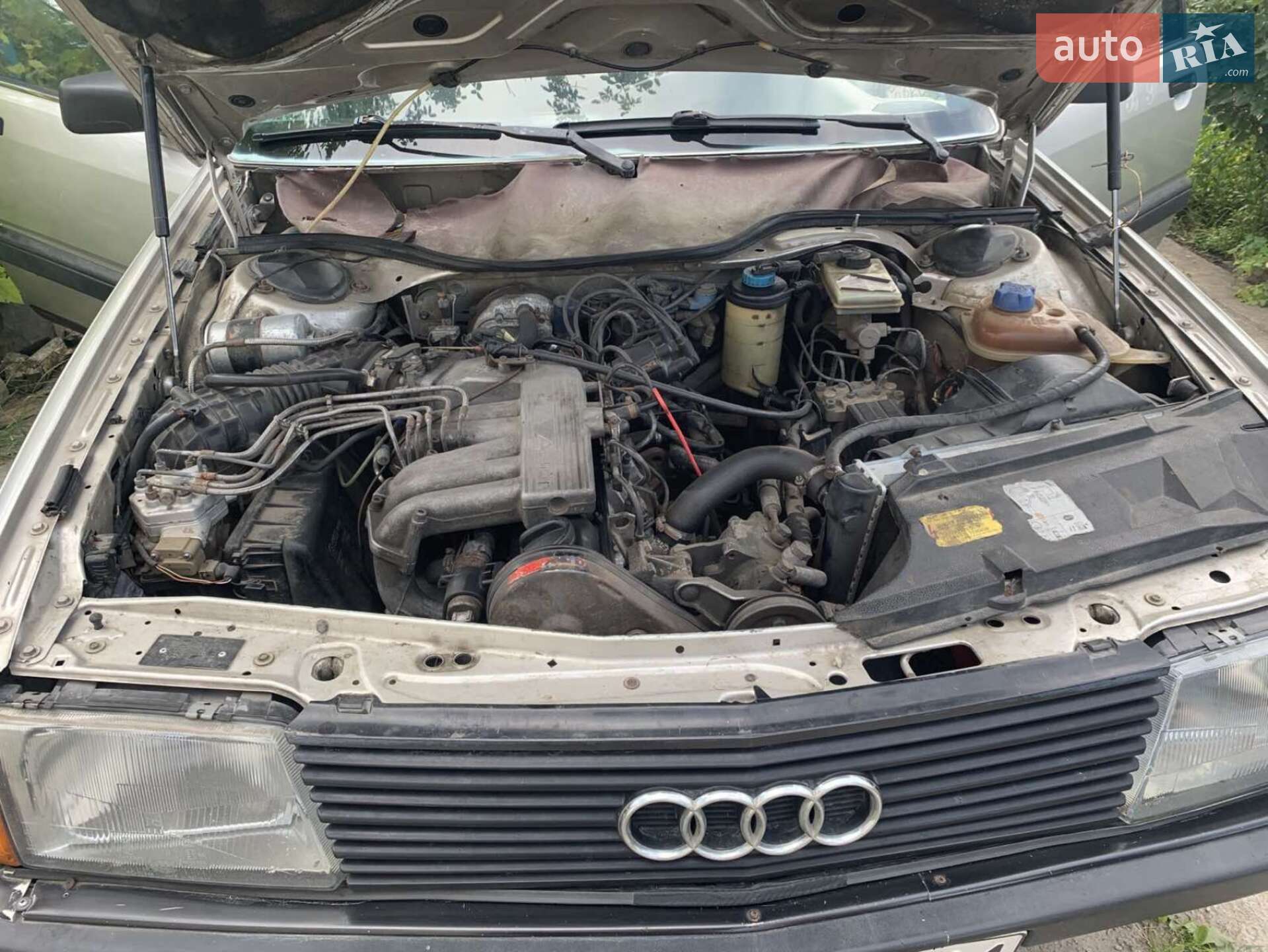 Audi 100 1988 VIN WAUZZZ44ZJN202792 фото оголошення 3 з 8
