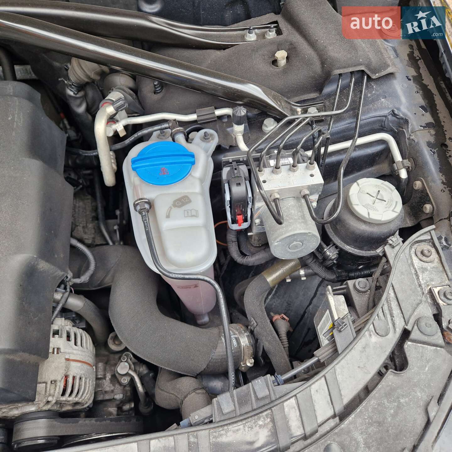 Audi Q5 2010 VIN WA1LFBFP9BA068641 фото оголошення 31 з 31