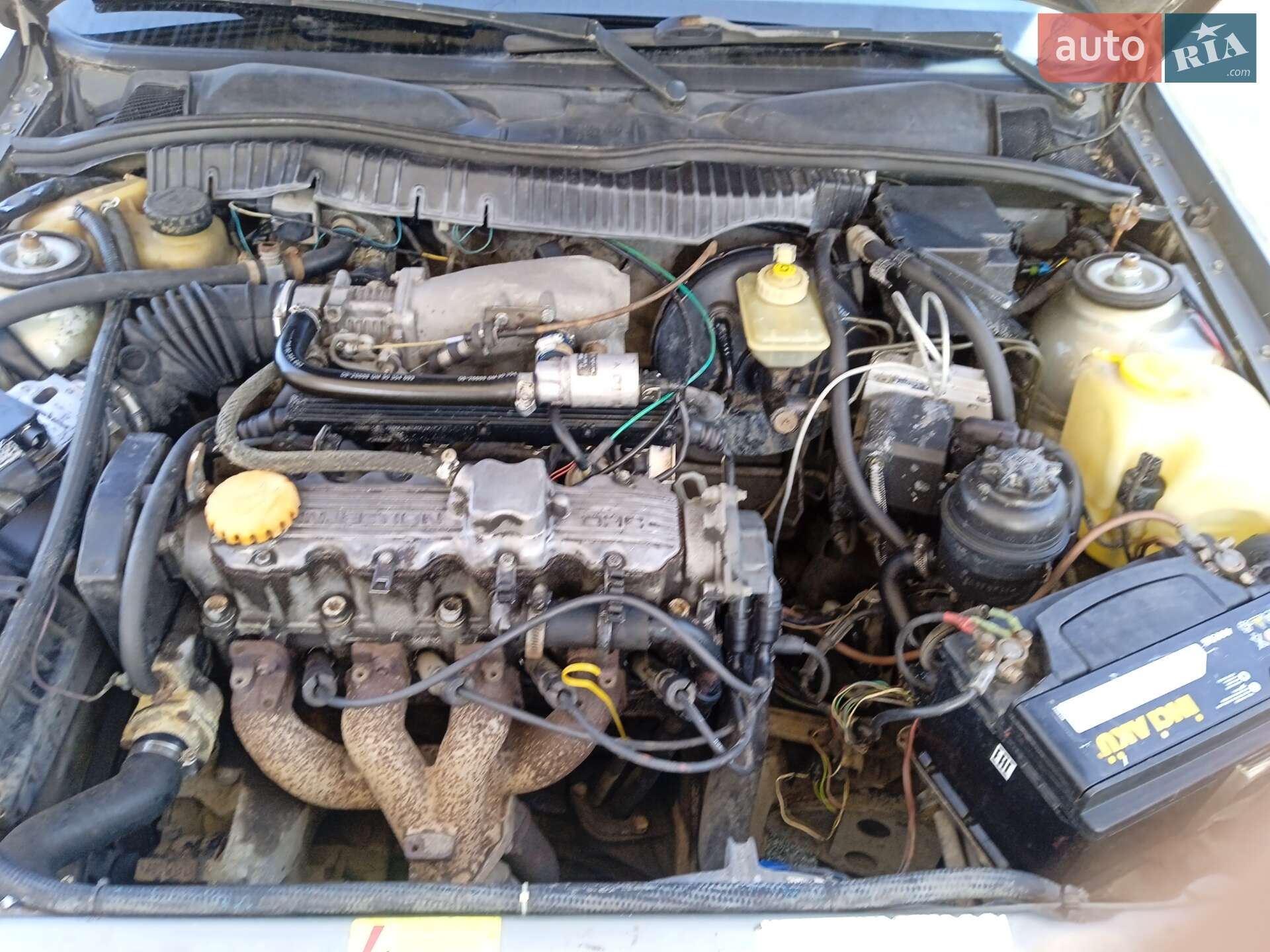 Opel Vectra 1995 VIN W0L000034H5095772 фото оголошення 3 з 14