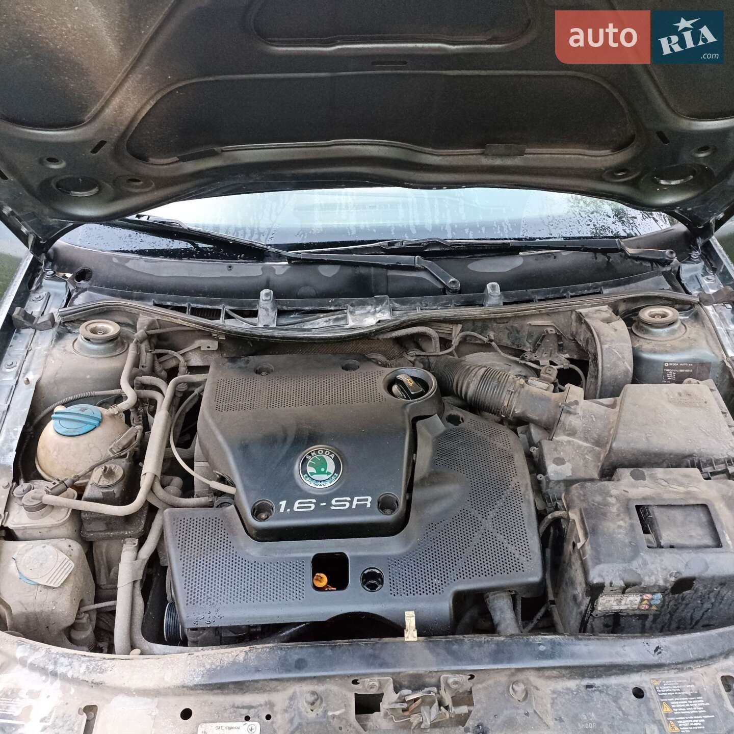 Skoda Octavia 2005 VIN TMBDK41U15B015543 фото оголошення 5 з 13