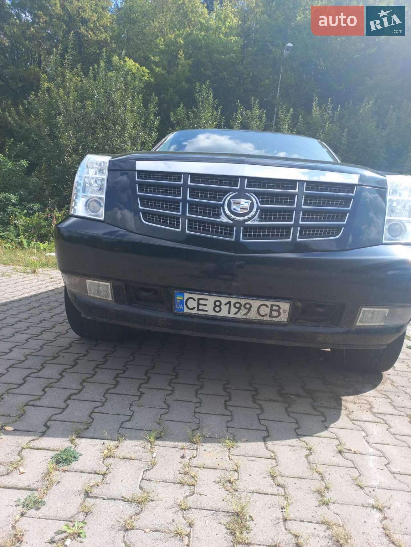 Cadillac Escalade 2007 VIN 1GYFK63827R371377 фото оголошення 7 з 13