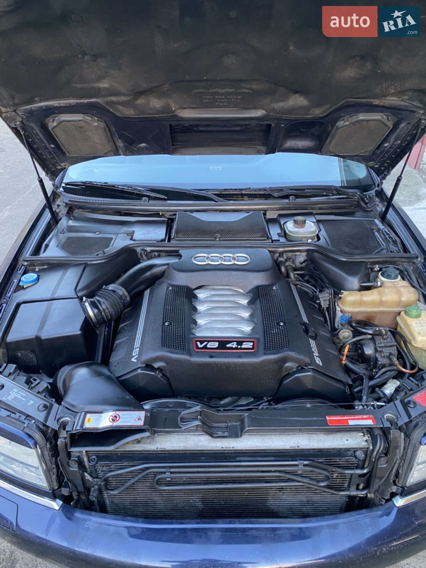 Audi S8 1999 VIN WAUZZZ4DZYN001859 фото оголошення 24 з 24