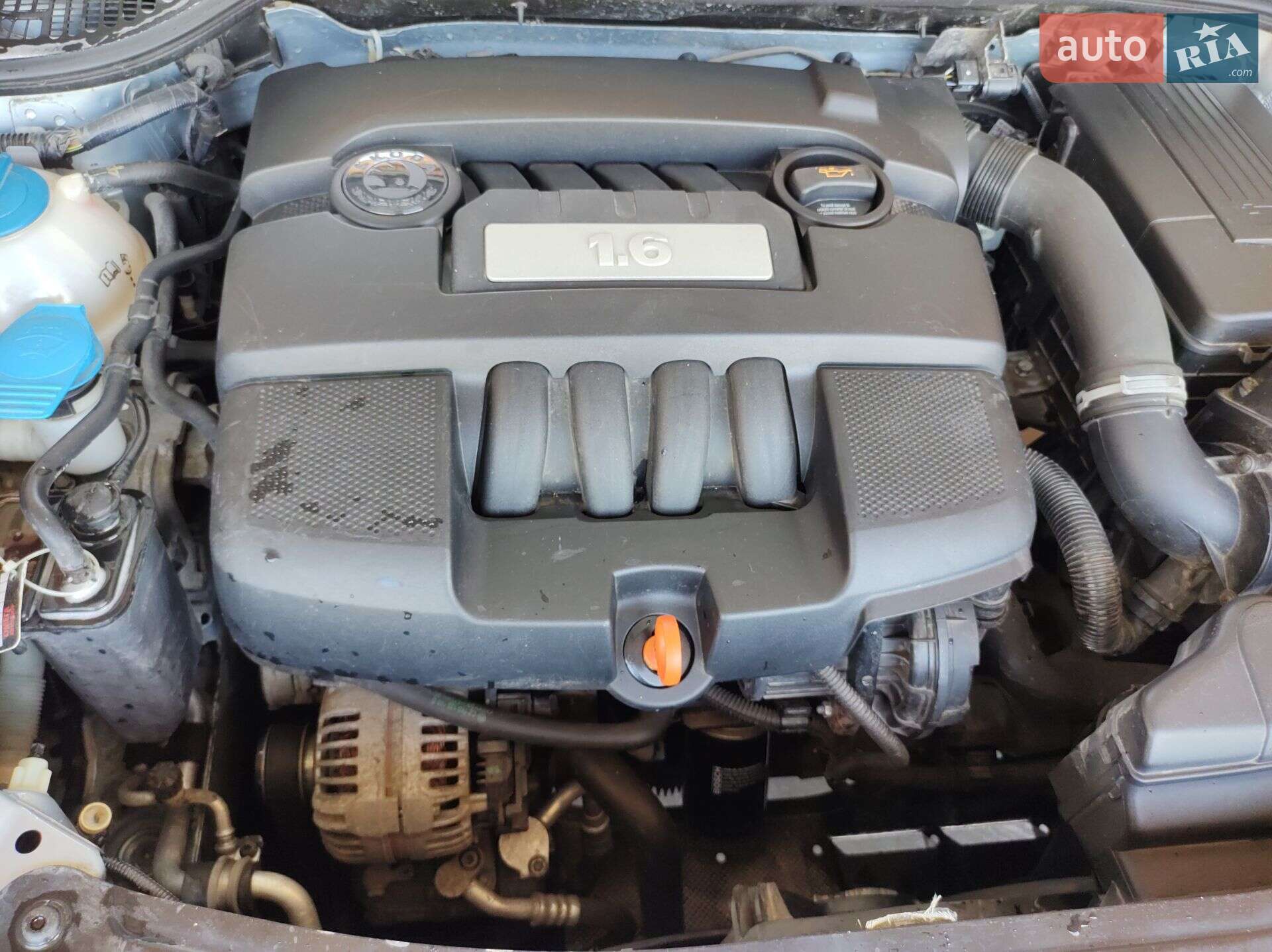 Skoda Octavia 2009 VIN TMBHA61Z198012933 фото оголошення 4 з 15