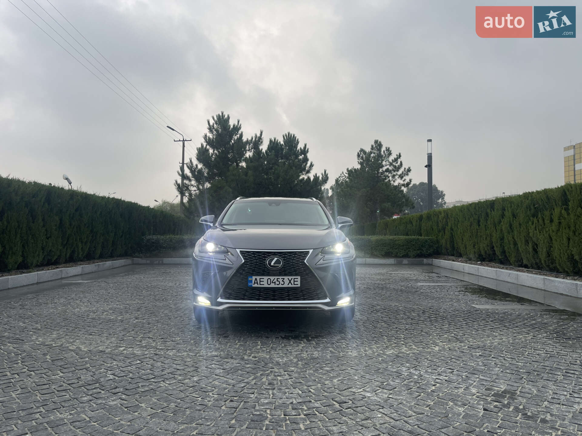 Lexus NX 2019 VIN JTJYARBZ8K2155500 фото оголошення 20 з 21