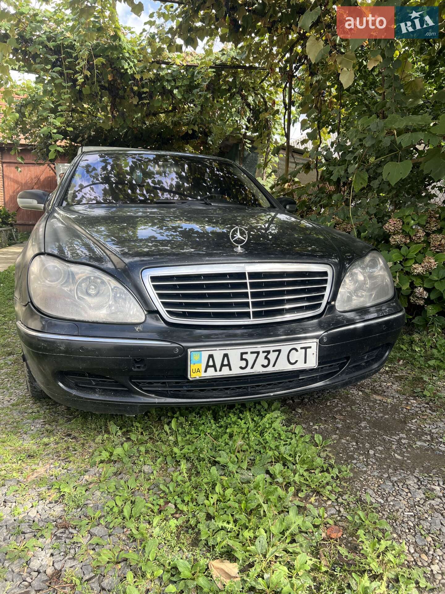 Mercedes-Benz S-Class 2003 VIN WDB2201841A374759 фото оголошення 3 з 12