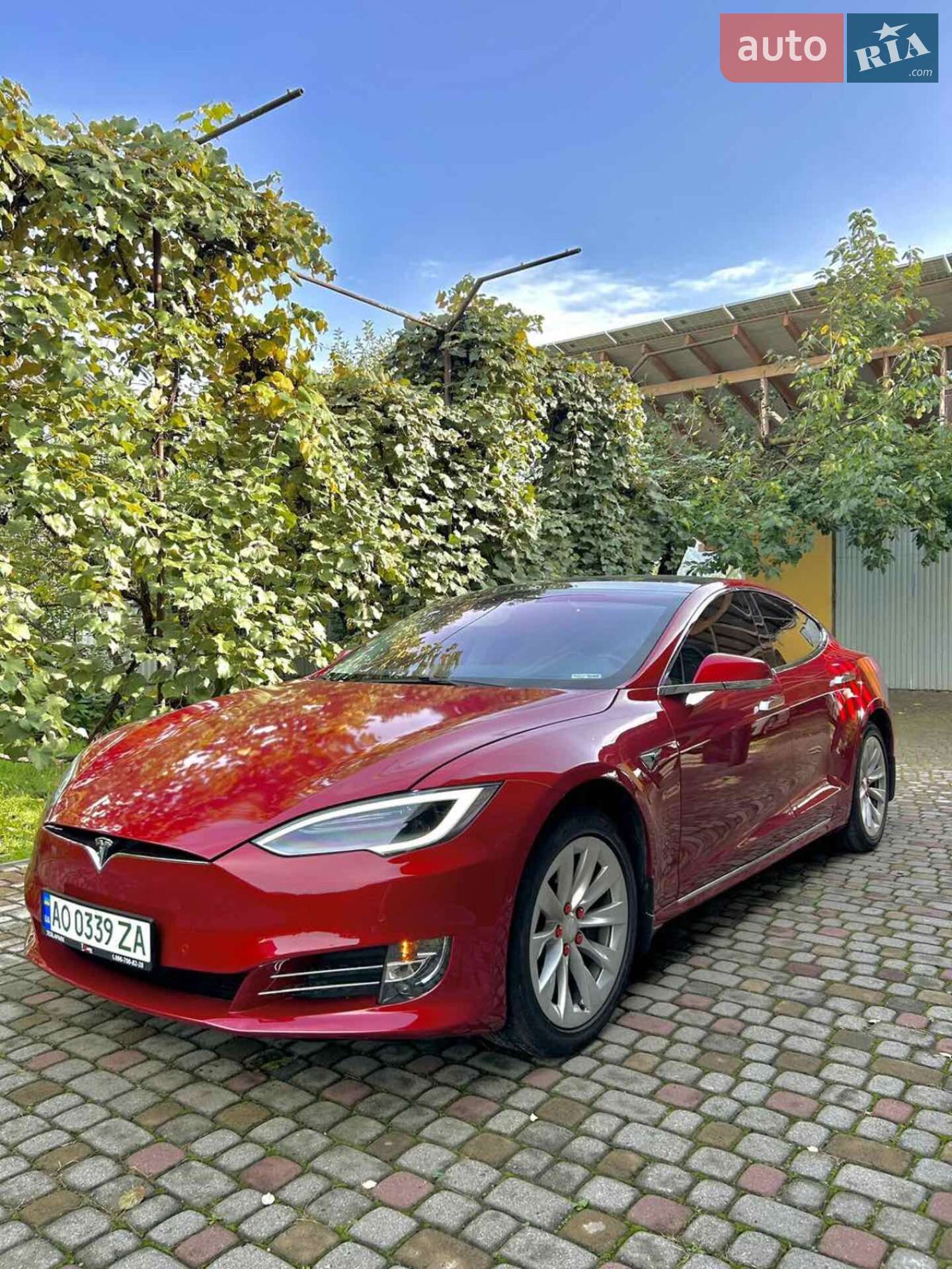 Tesla Model S 2019 VIN 5YJSA1E26KF307229 фото оголошення 24 з 25